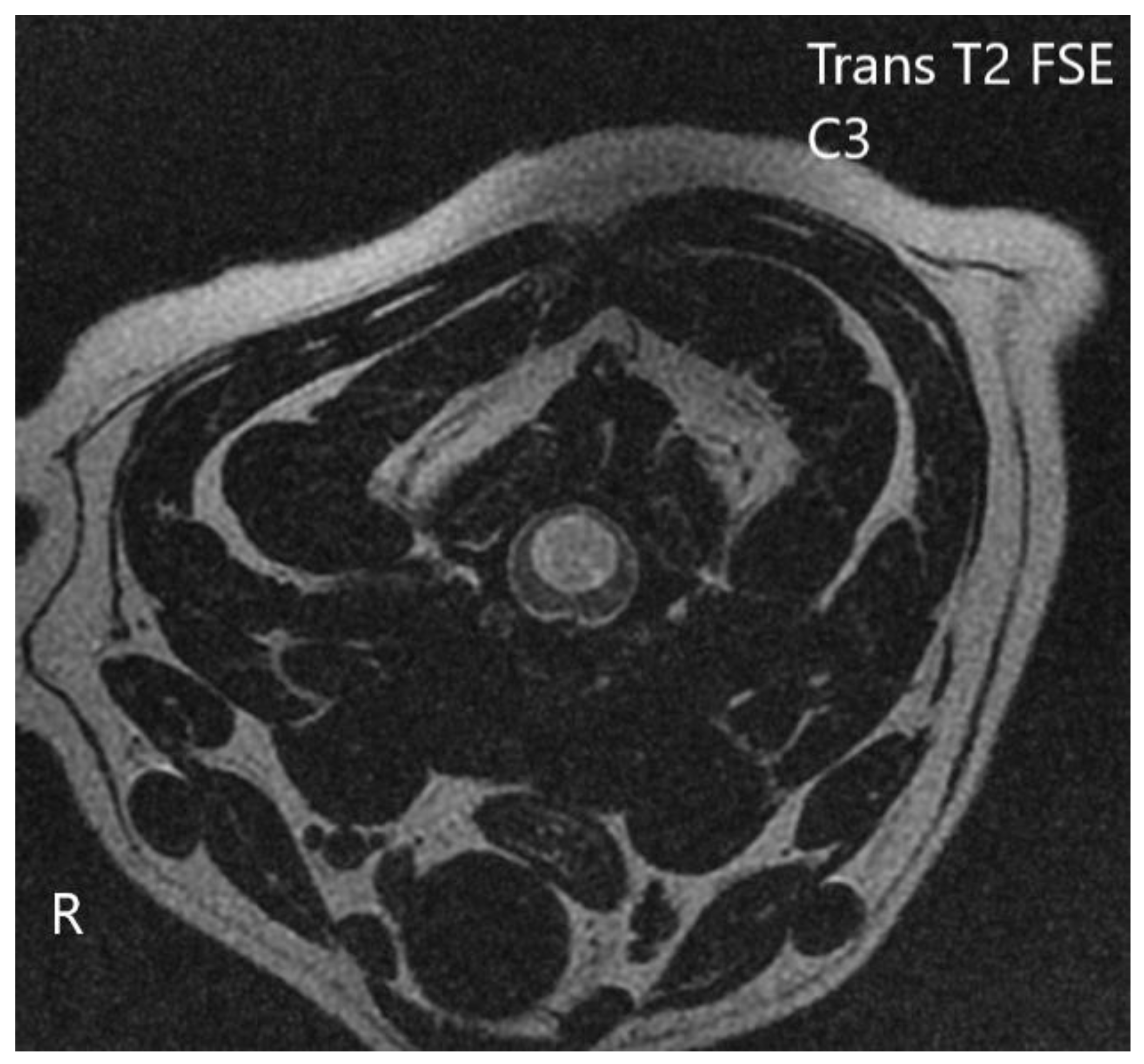 Vetsci 10 00359 g005 Vetsci 10 00359 g005