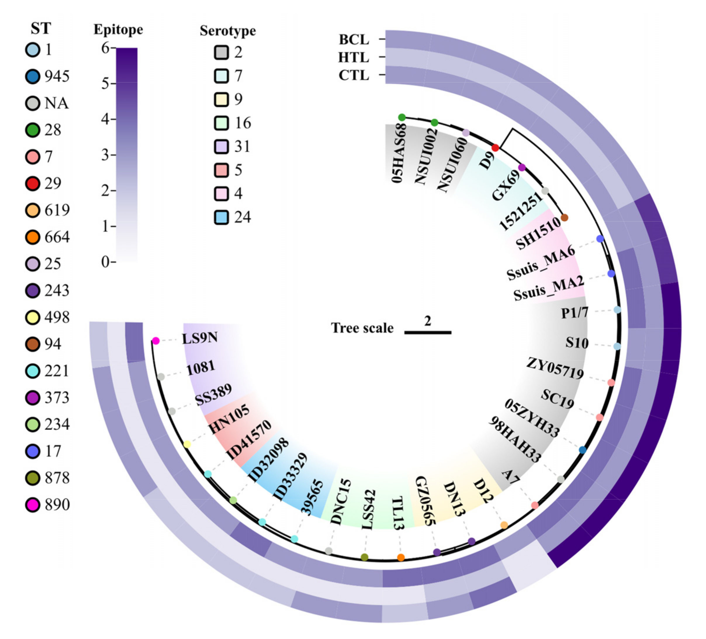 Vetsci 10 00383 g001 Vetsci 10 00383 g001