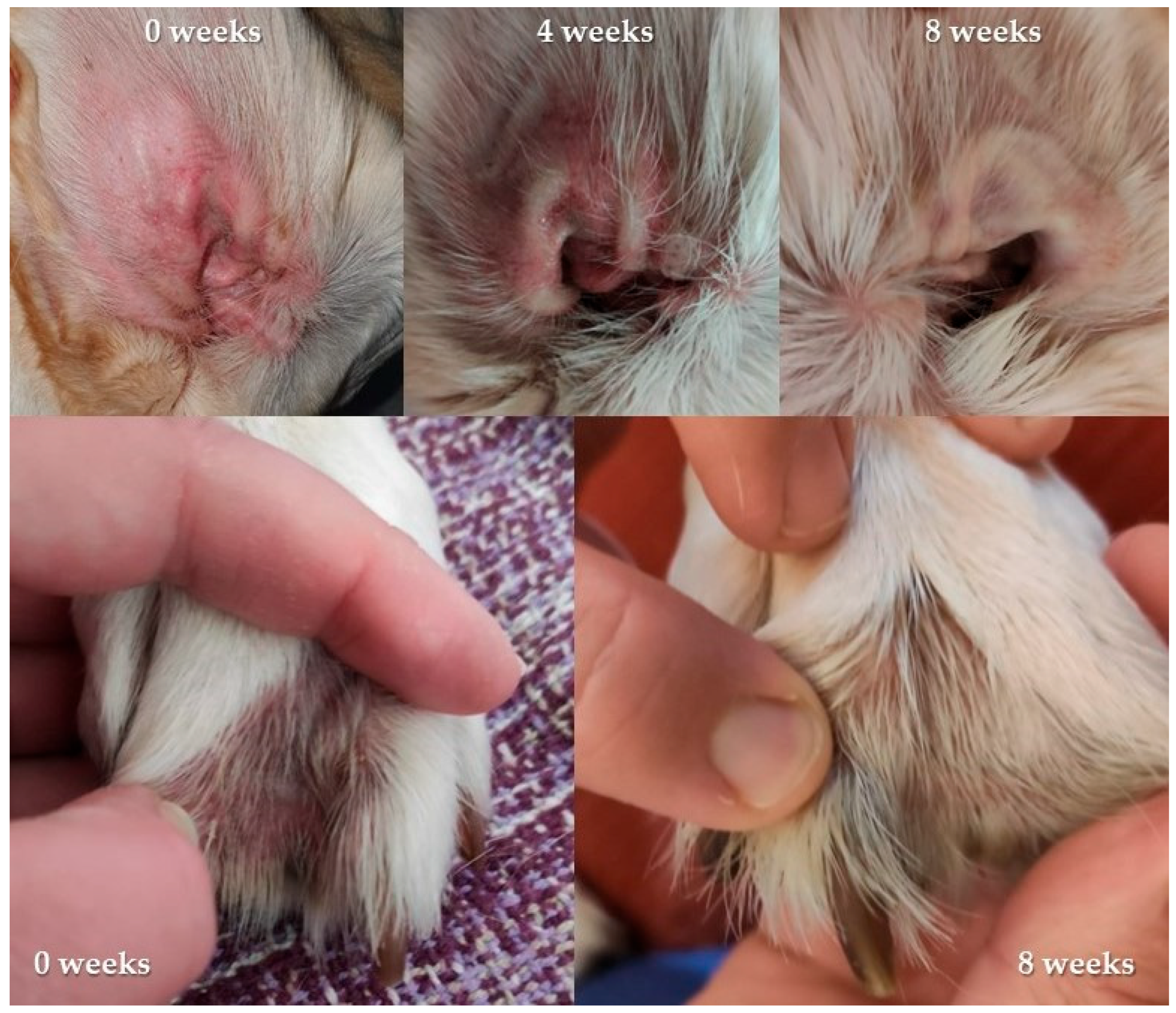 Vetsci 10 00389 g005 Vetsci 10 00389 g005