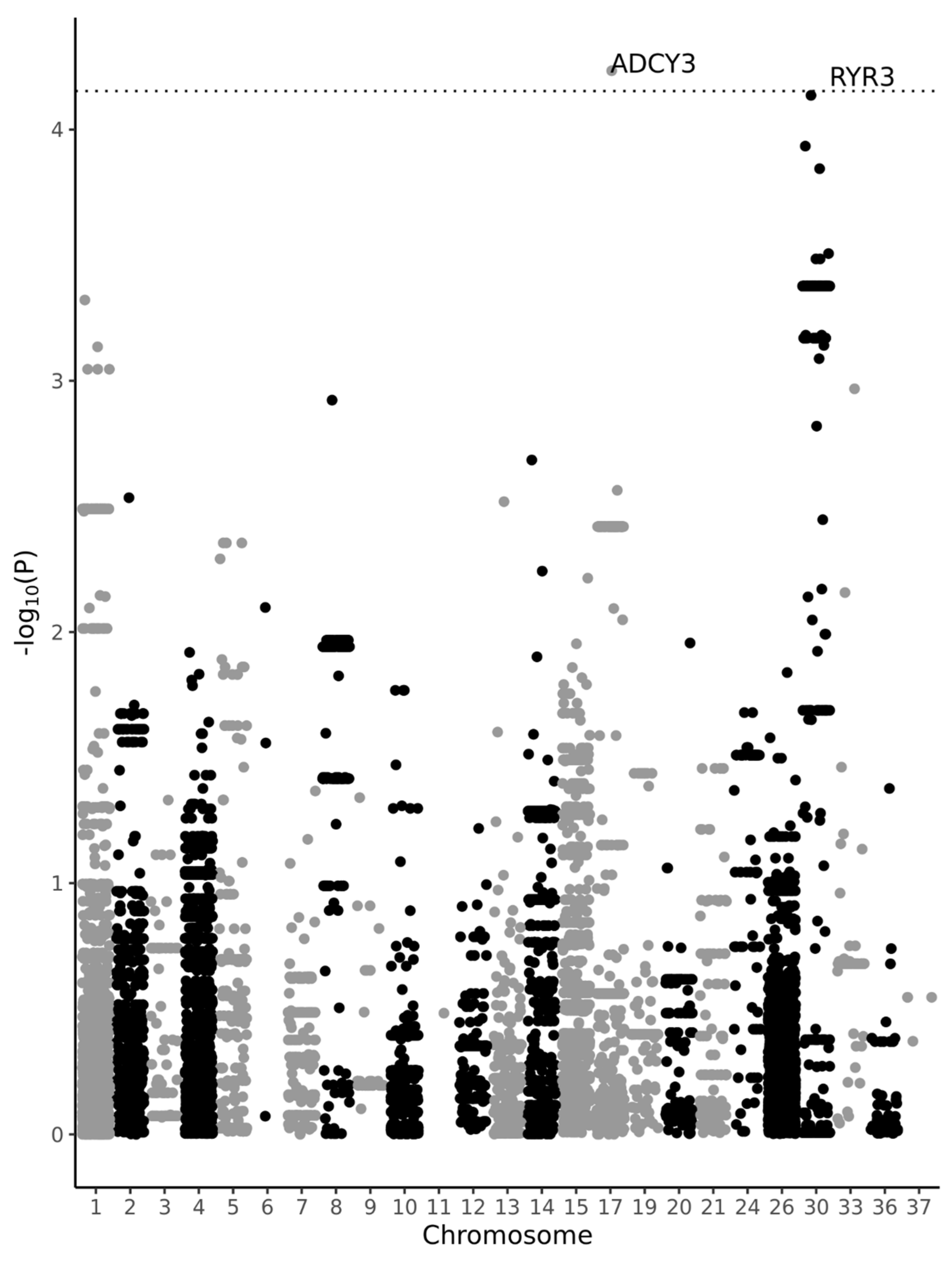 Vetsci 10 00390 g001