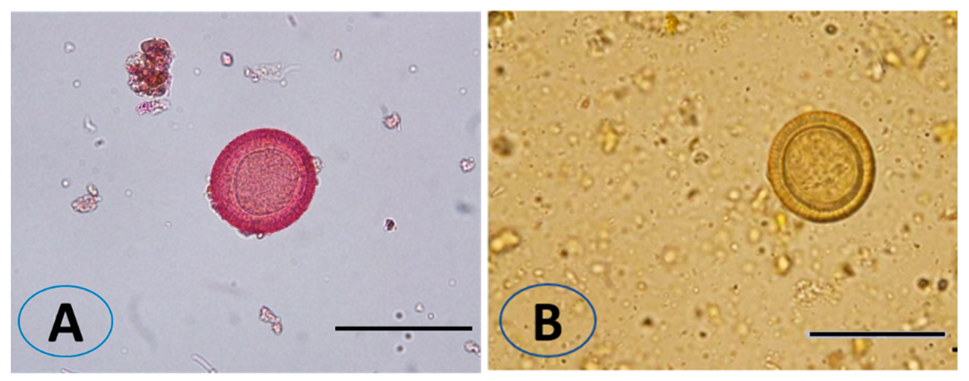 Vetsci 10 00400 g002