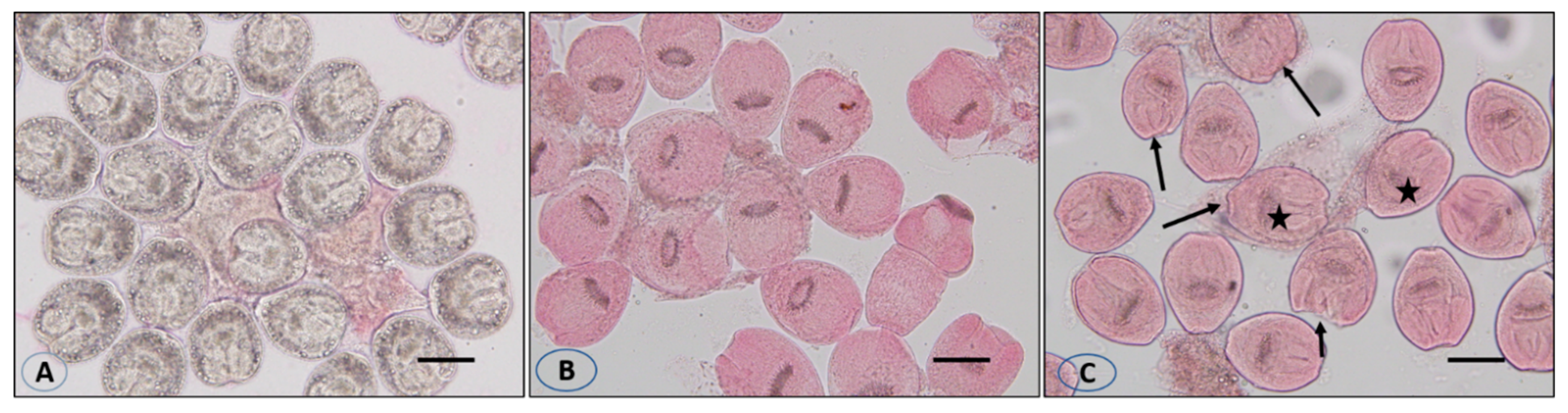 Vetsci 10 00400 g005