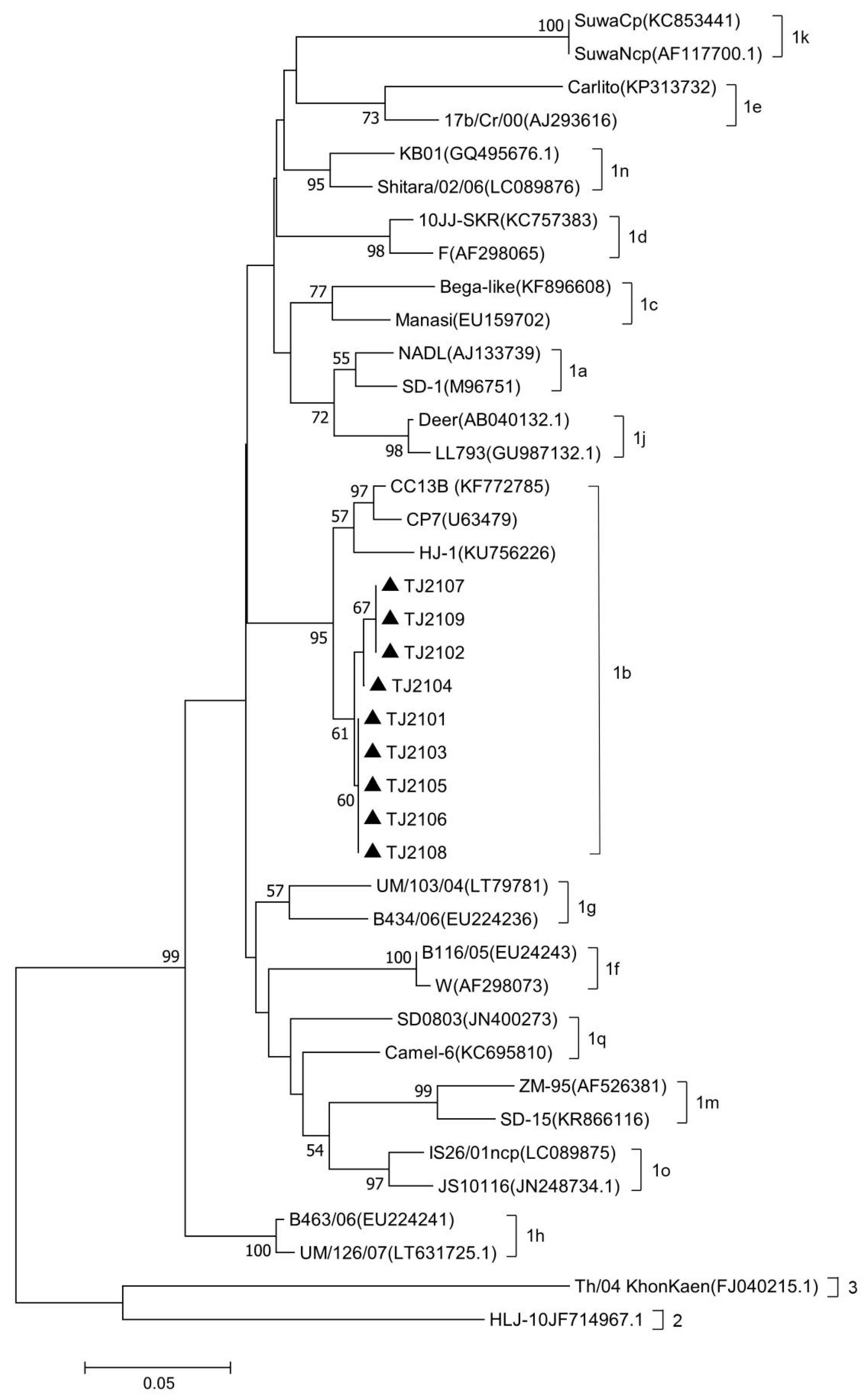 Vetsci 10 00413 g002 Vetsci 10 00413 g002
