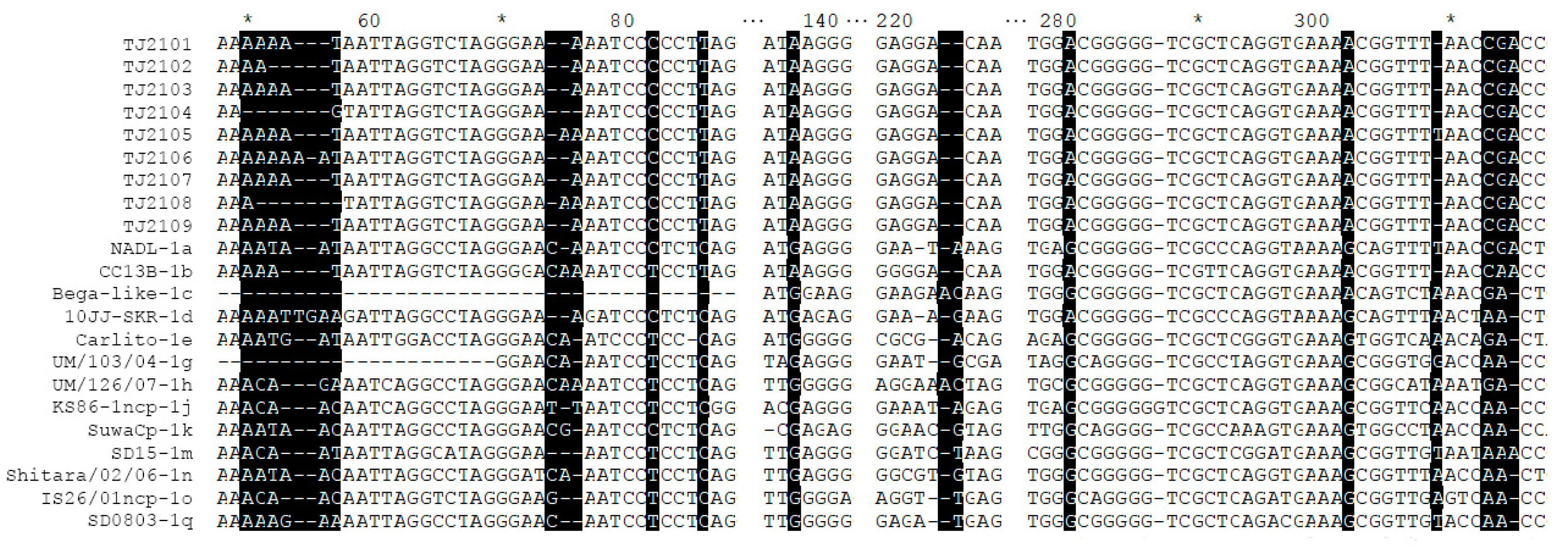 Vetsci 10 00413 g004 Vetsci 10 00413 g004