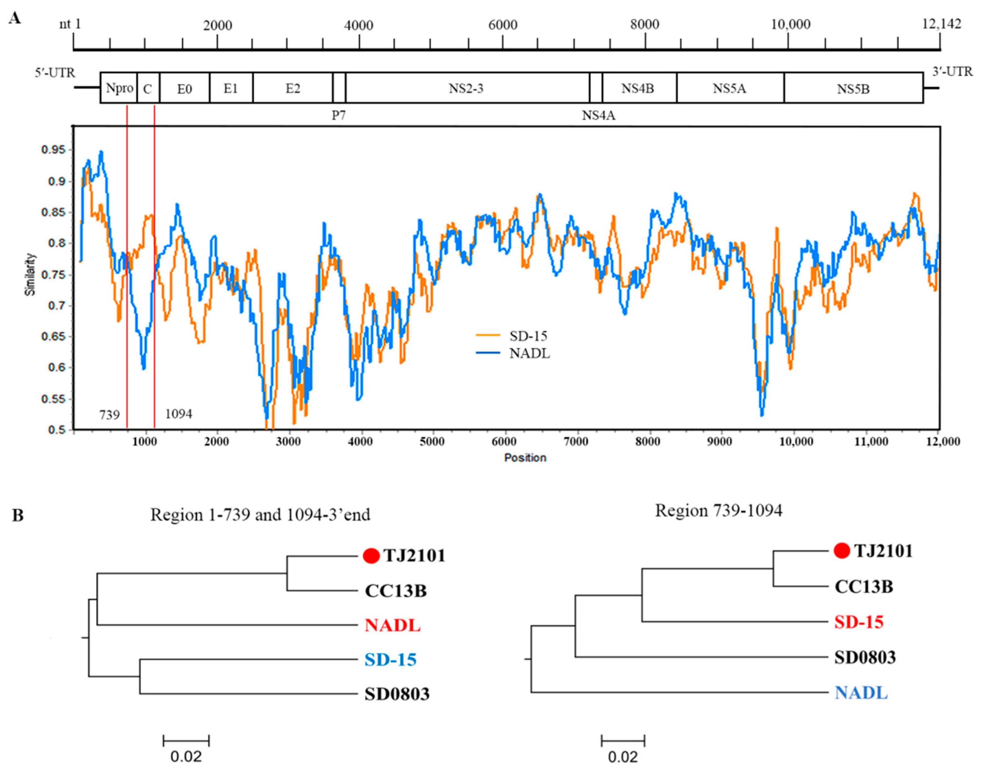 Vetsci 10 00413 g007 Vetsci 10 00413 g007