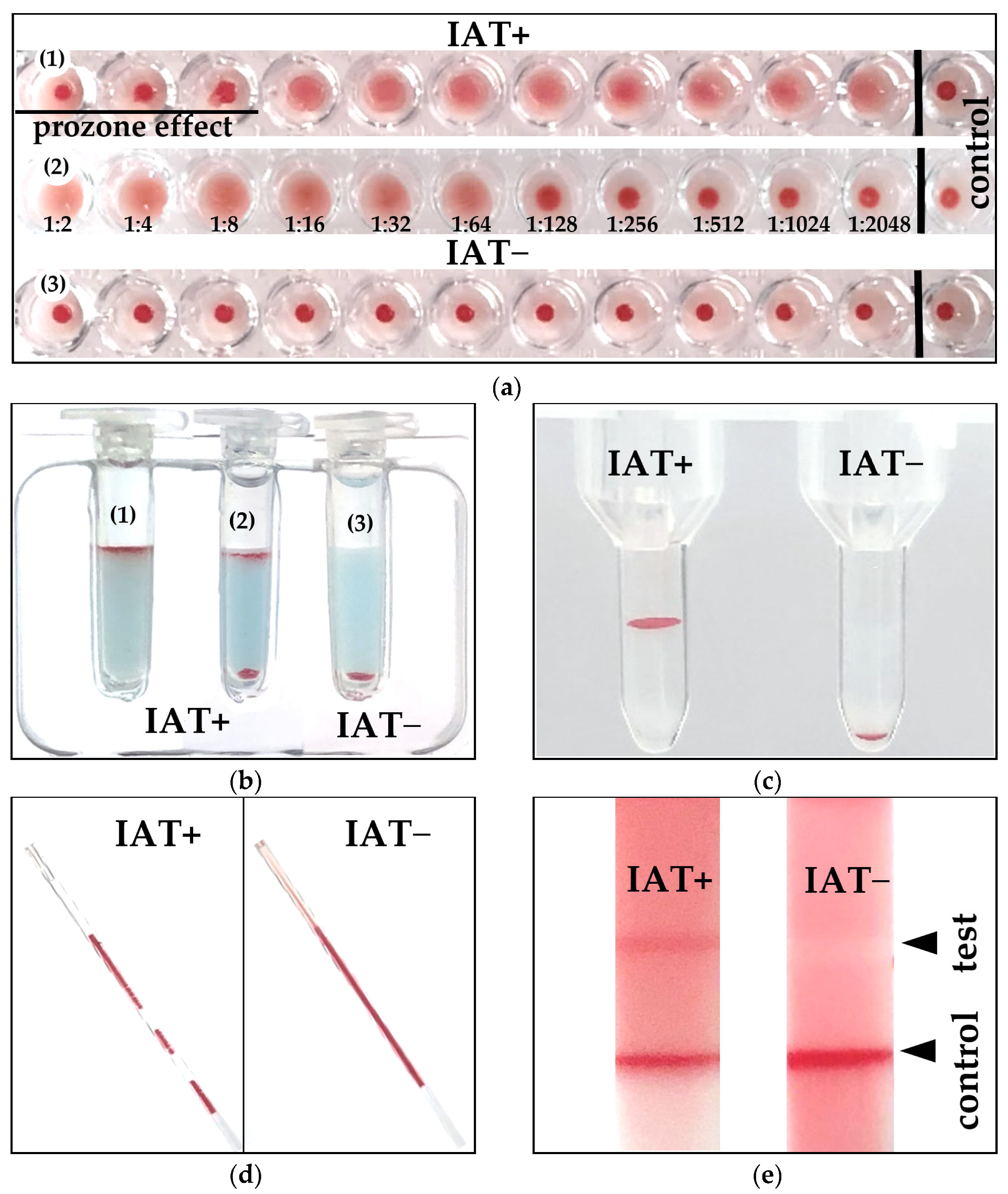 Vetsci 10 00415 g002