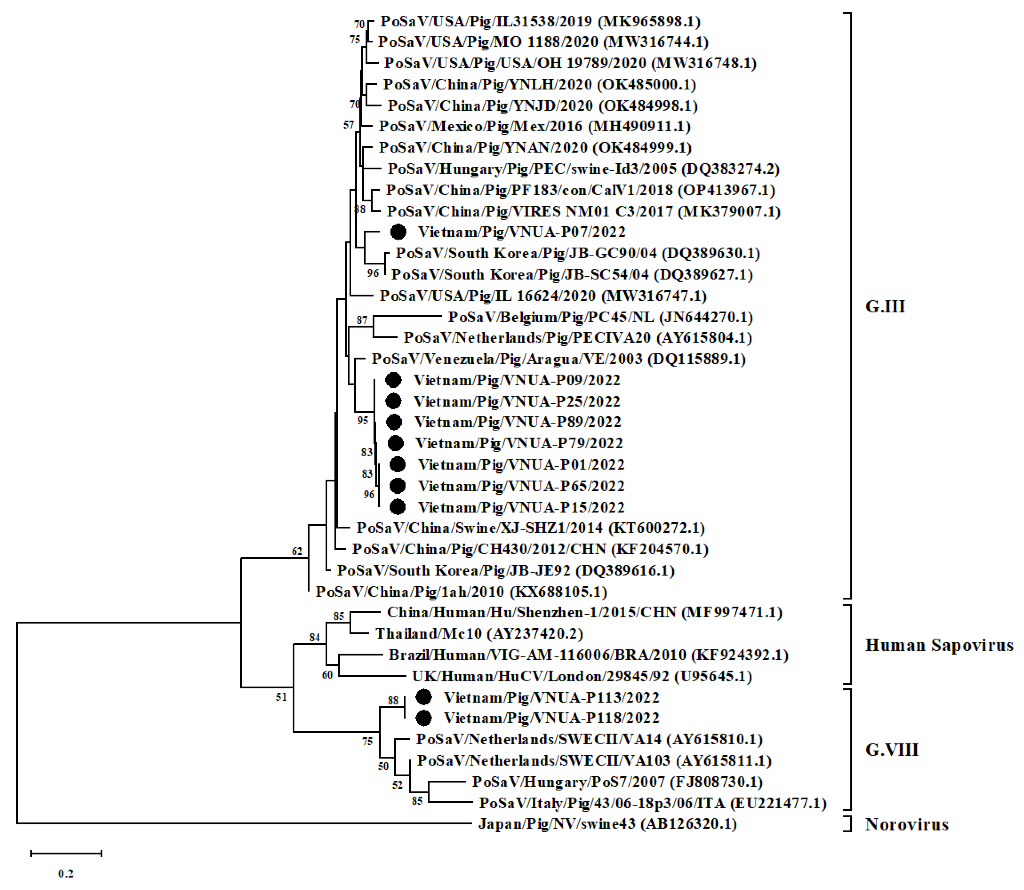 Vetsci 10 00430 g002 Vetsci 10 00430 g002