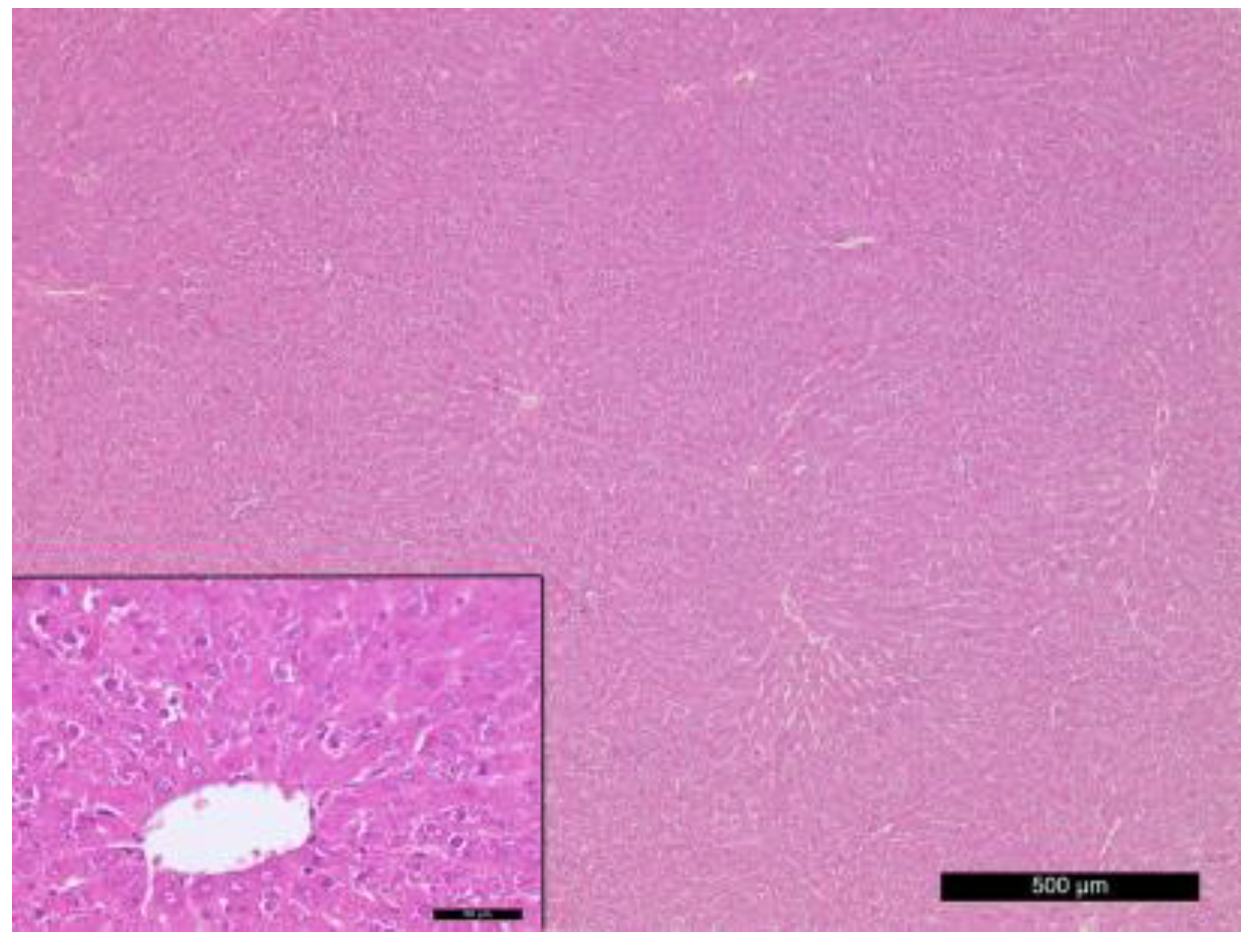 Vetsci 10 00431 g004