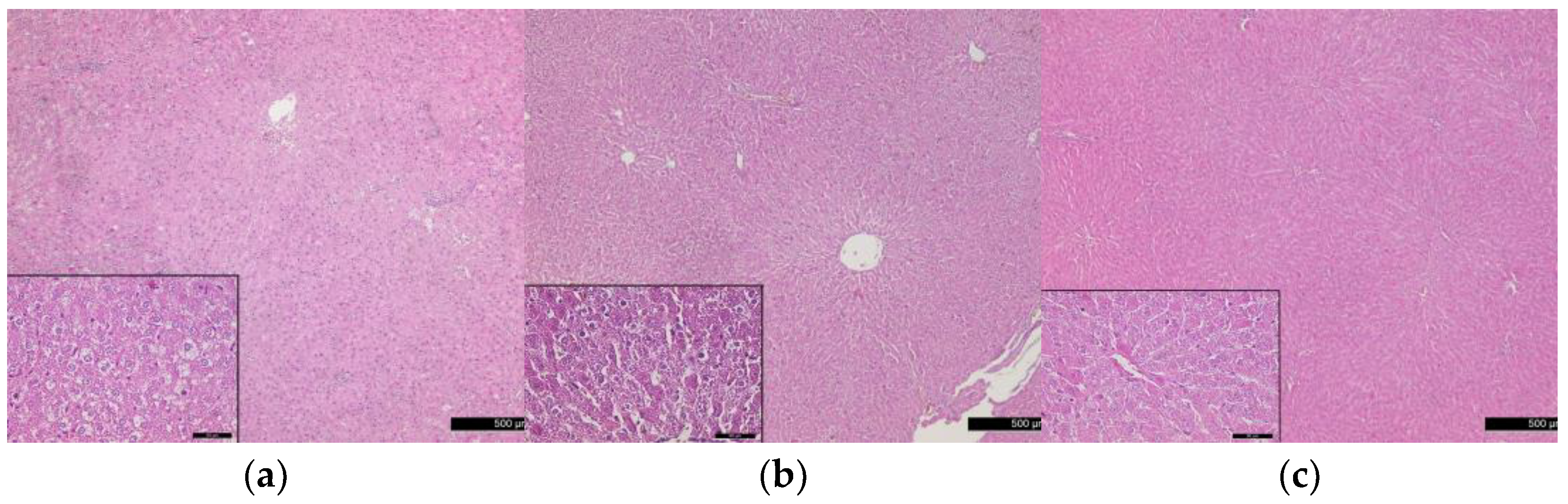 Vetsci 10 00431 g005