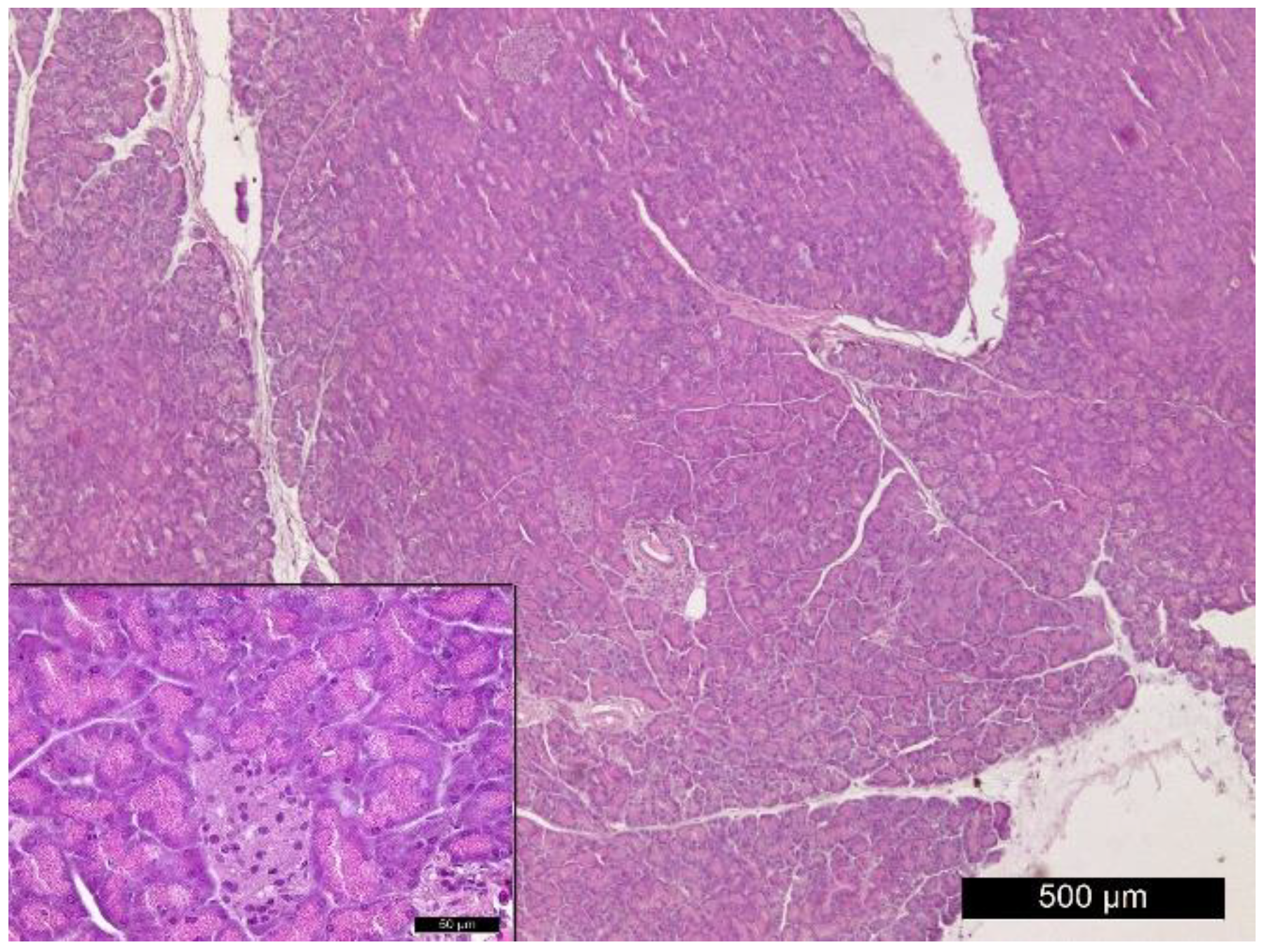 Vetsci 10 00431 g006