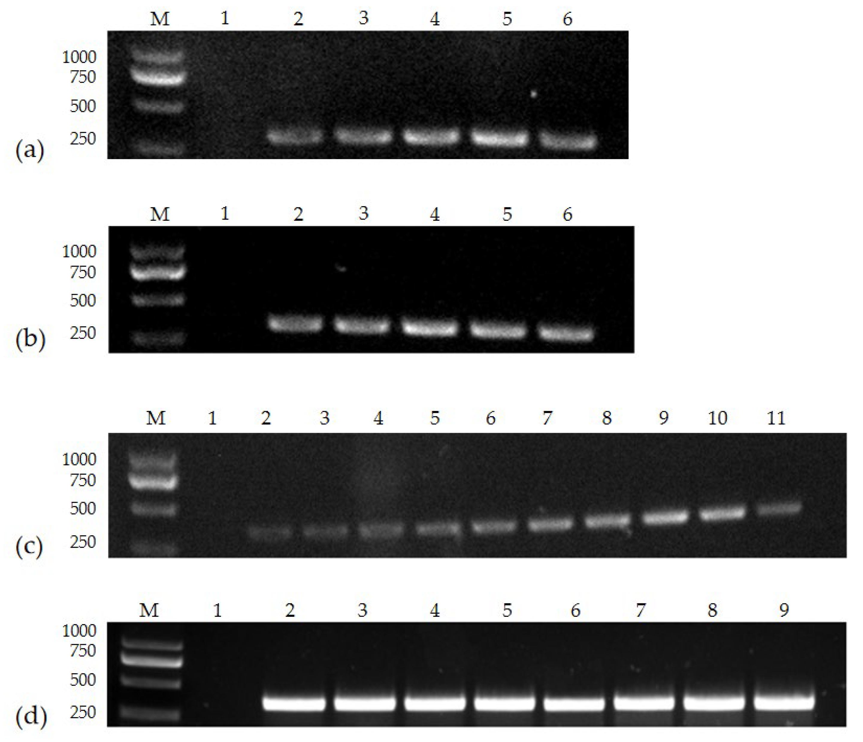 Vetsci 10 00440 g001