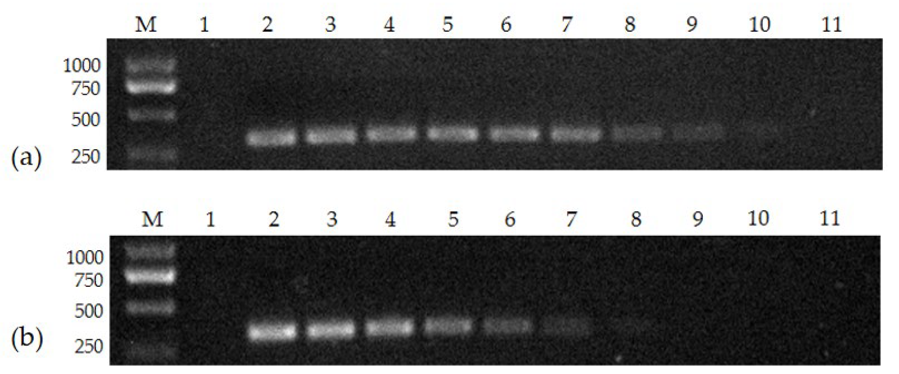 Vetsci 10 00440 g002