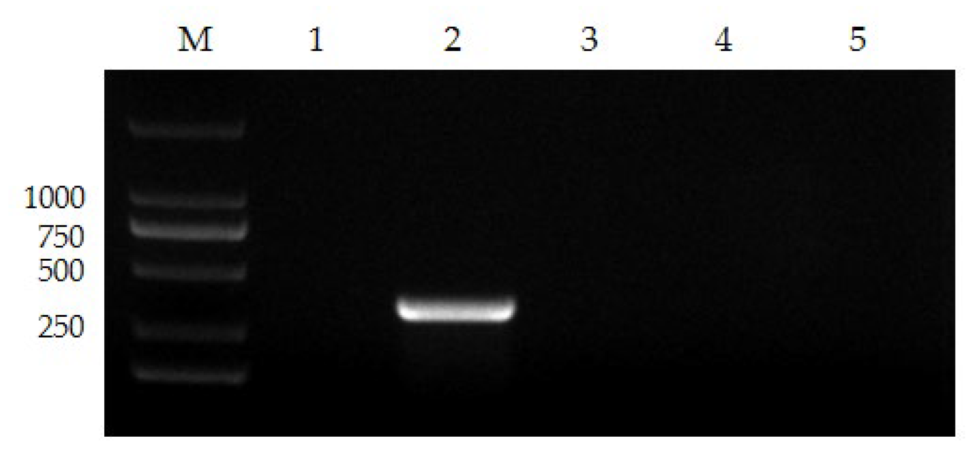 Vetsci 10 00440 g003