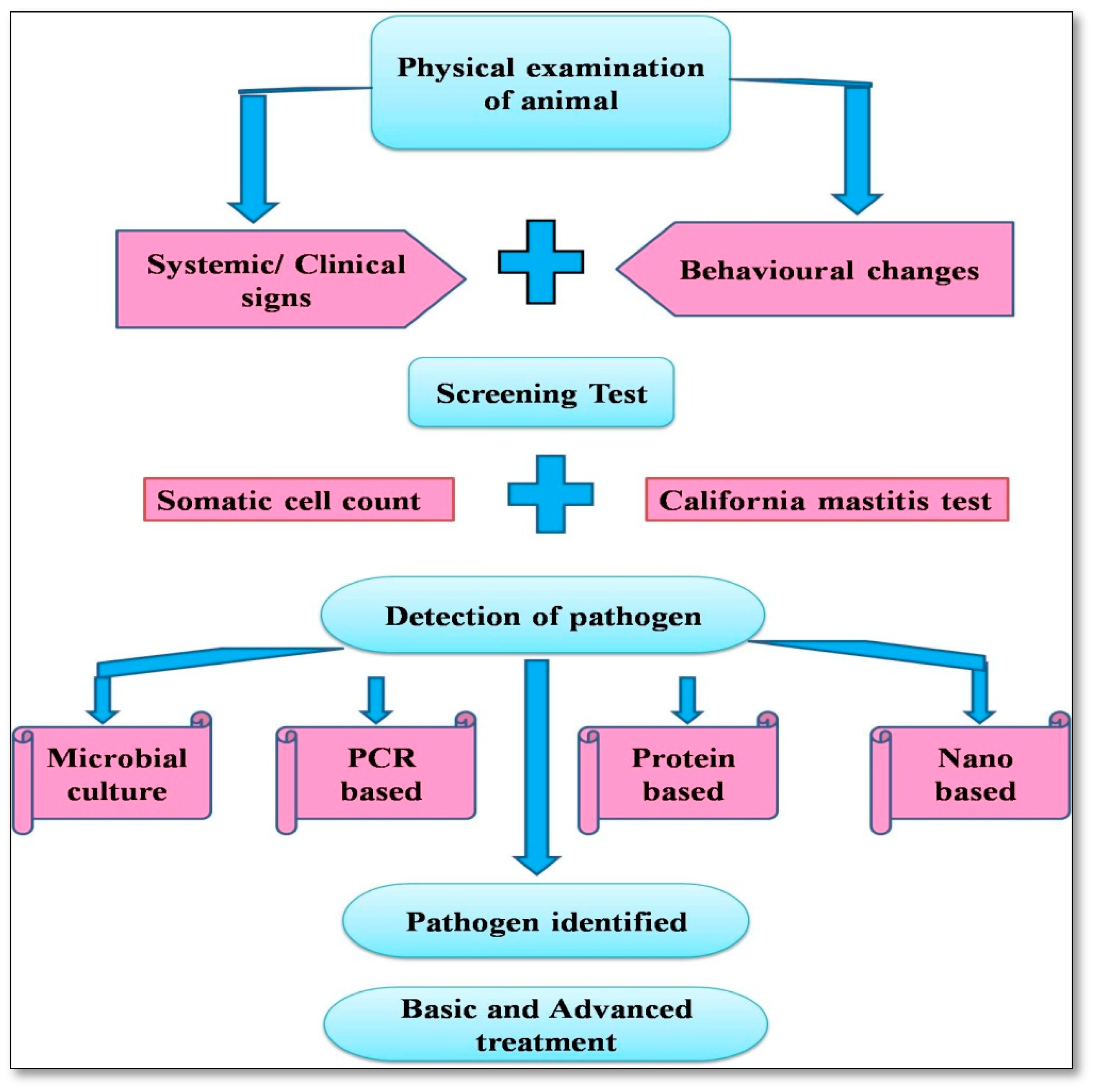 Vetsci 10 00449 g001