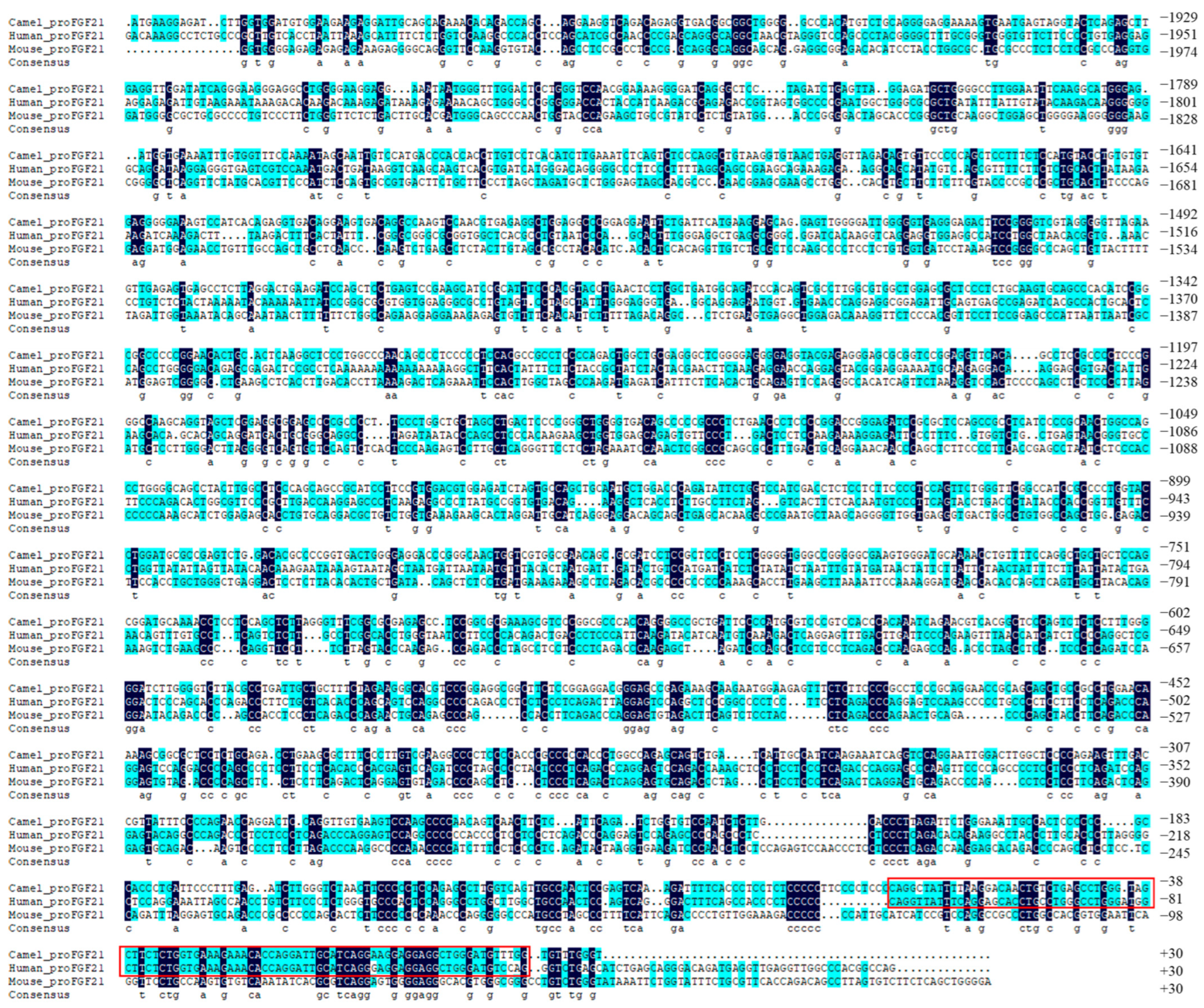 Vetsci 10 00452 g001 Vetsci 10 00452 g001