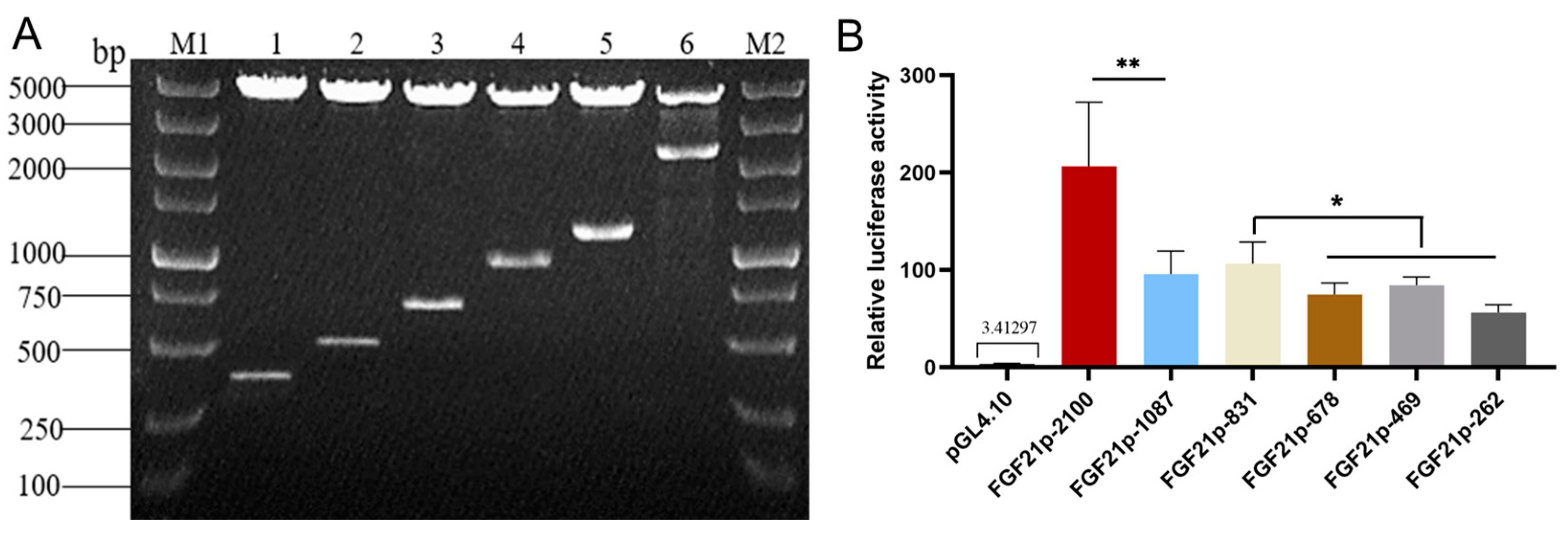 Vetsci 10 00452 g004 Vetsci 10 00452 g004