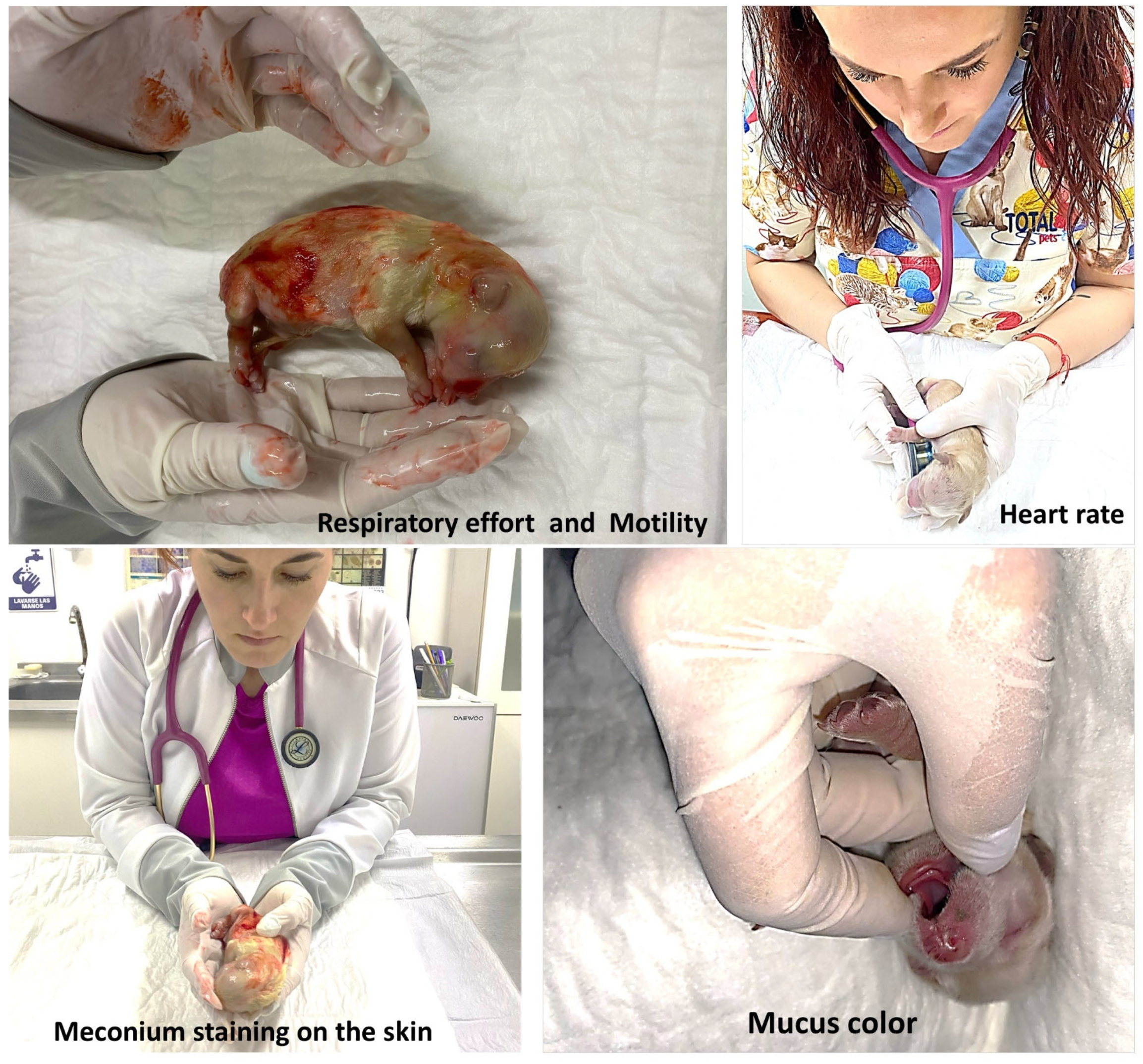 Vetsci 10 00453 g004