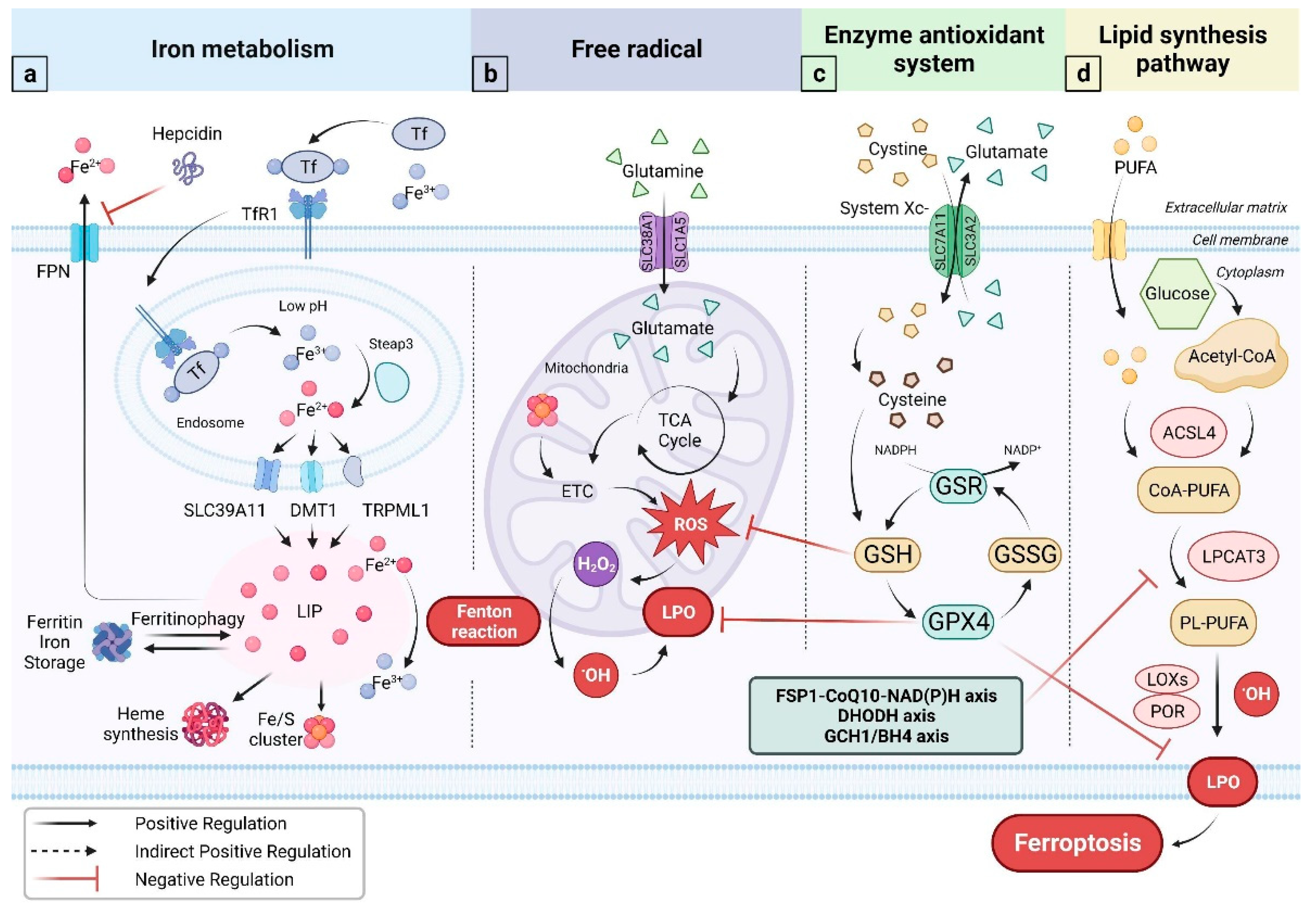 Vetsci 10 00456 g001