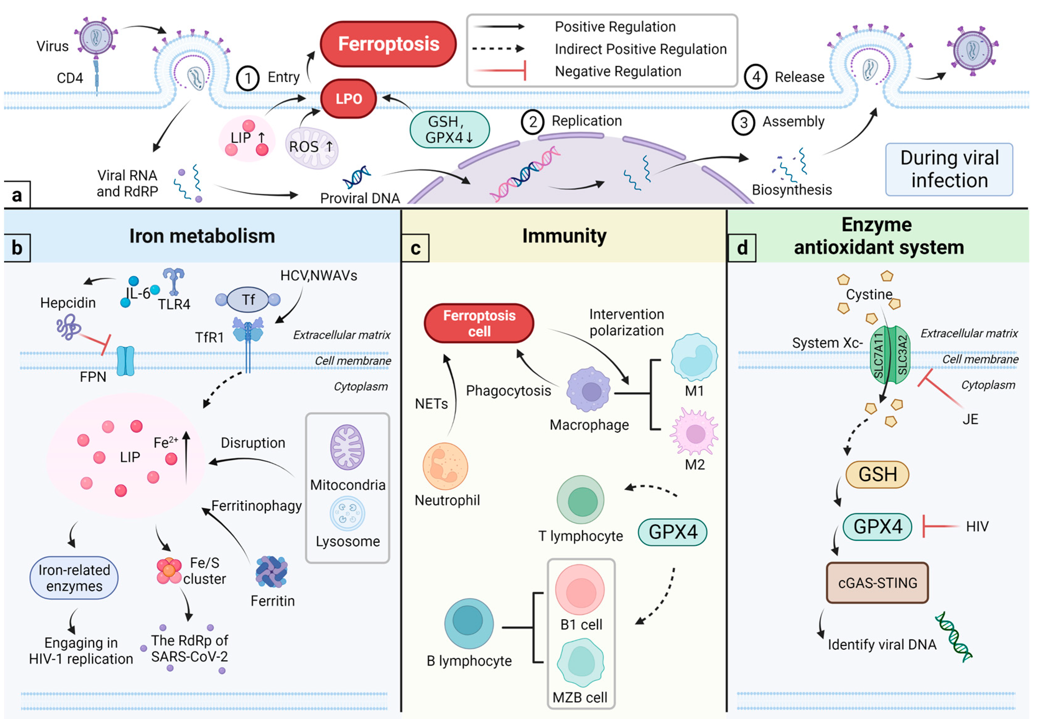 Vetsci 10 00456 g002