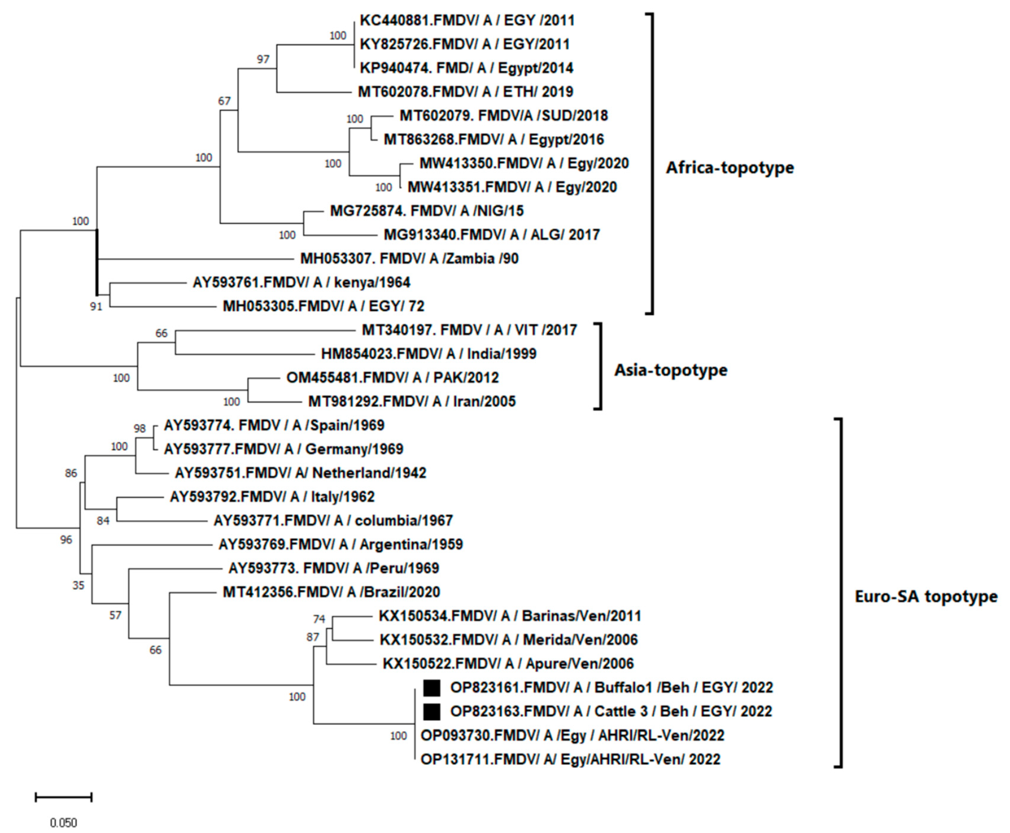 Vetsci 10 00488 g002