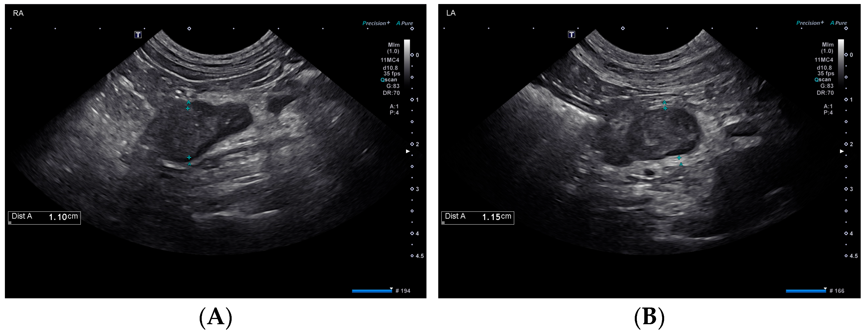 Vetsci 10 00500 g001 Vetsci 10 00500 g001