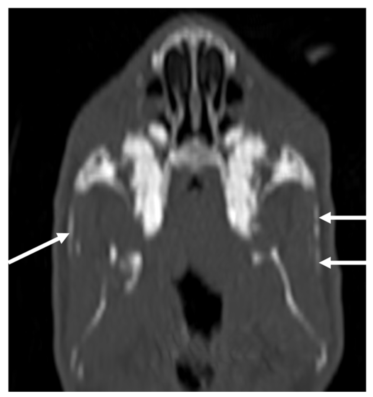 Vetsci 10 00504 g002