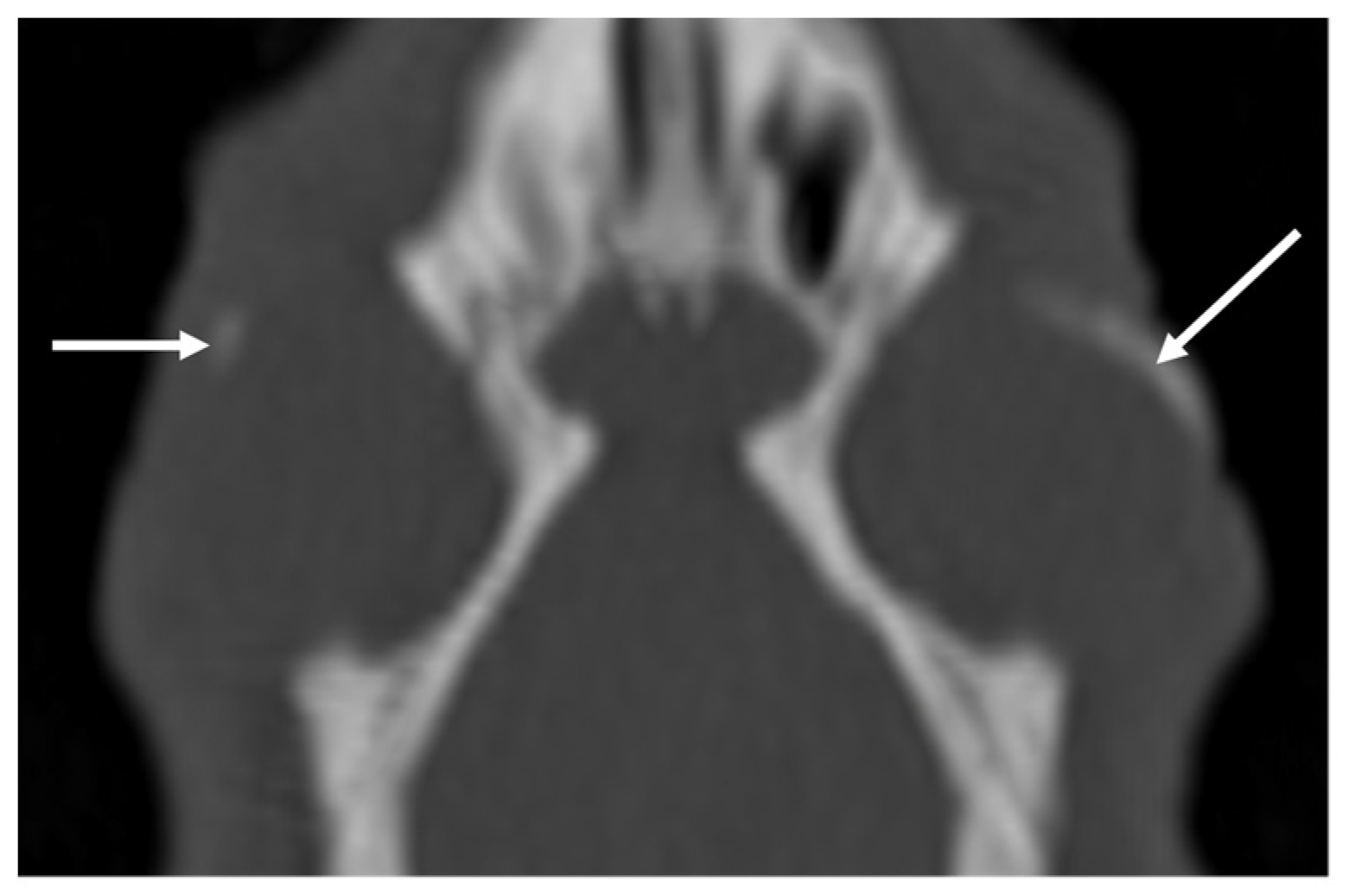 Vetsci 10 00504 g004