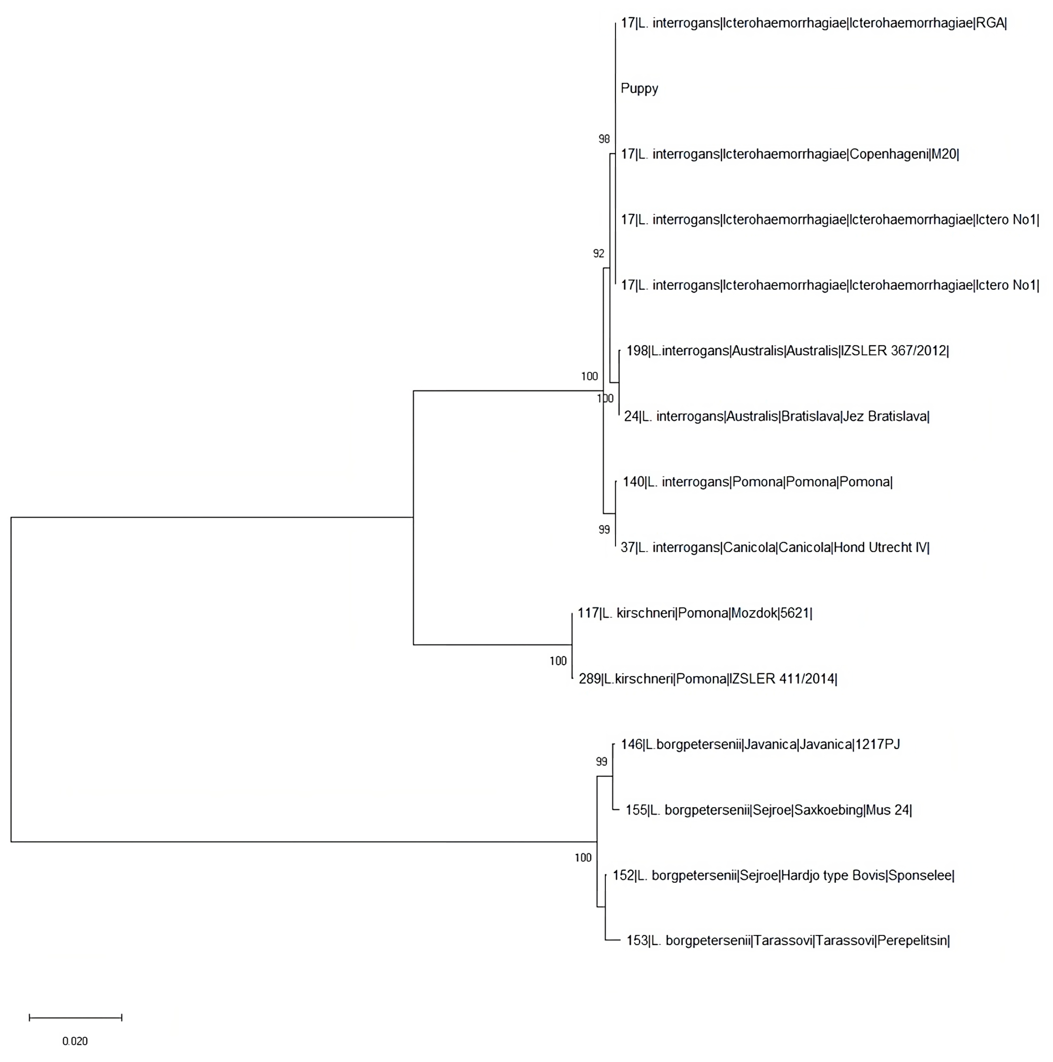 Vetsci 10 00508 g001