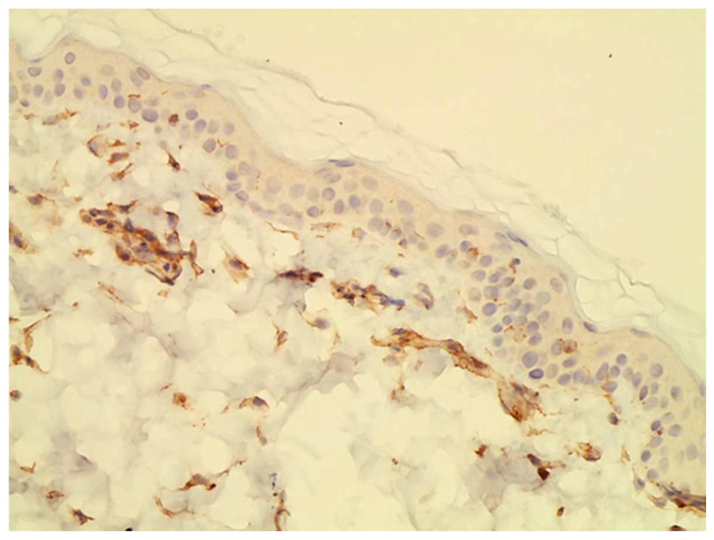 Vetsci 10 00512 g001