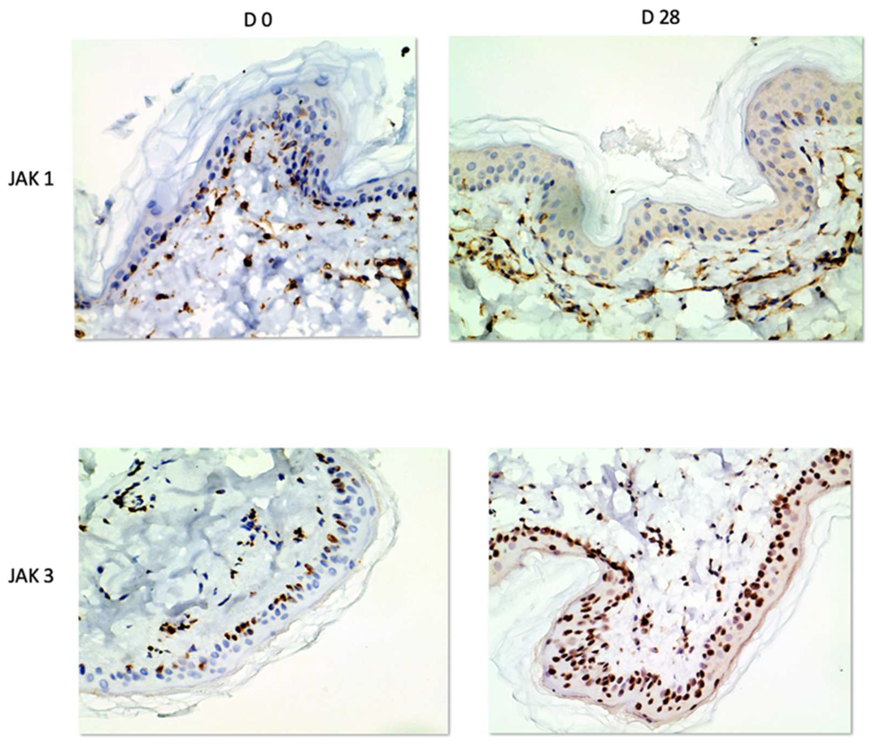 Vetsci 10 00512 g003