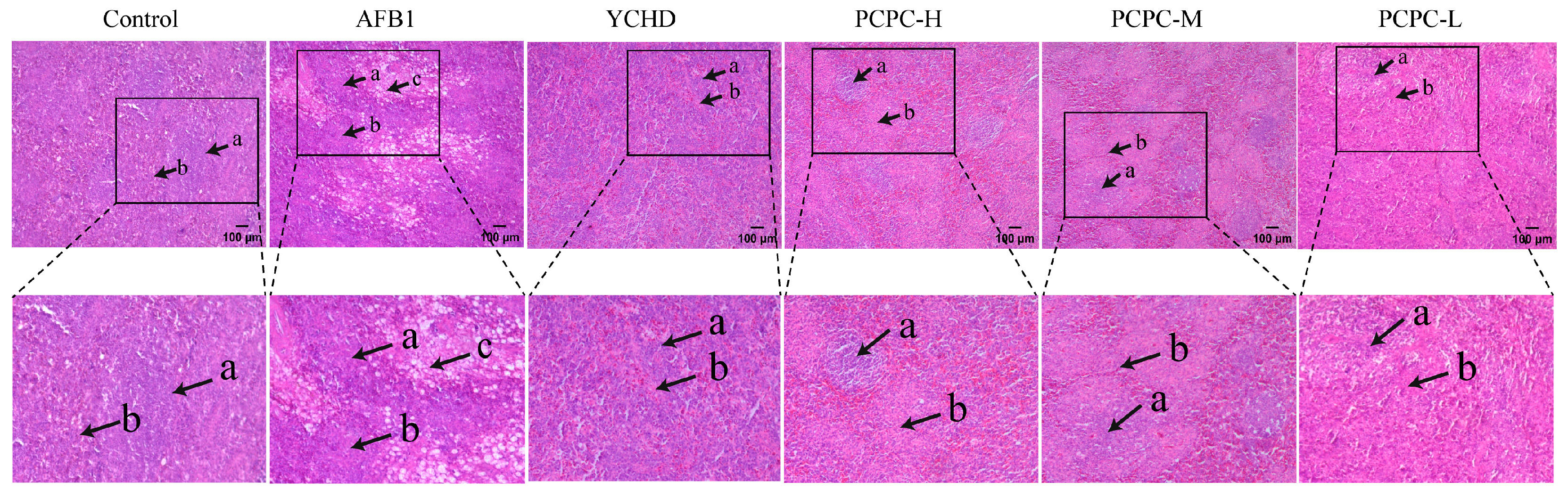Vetsci 10 00521 g002