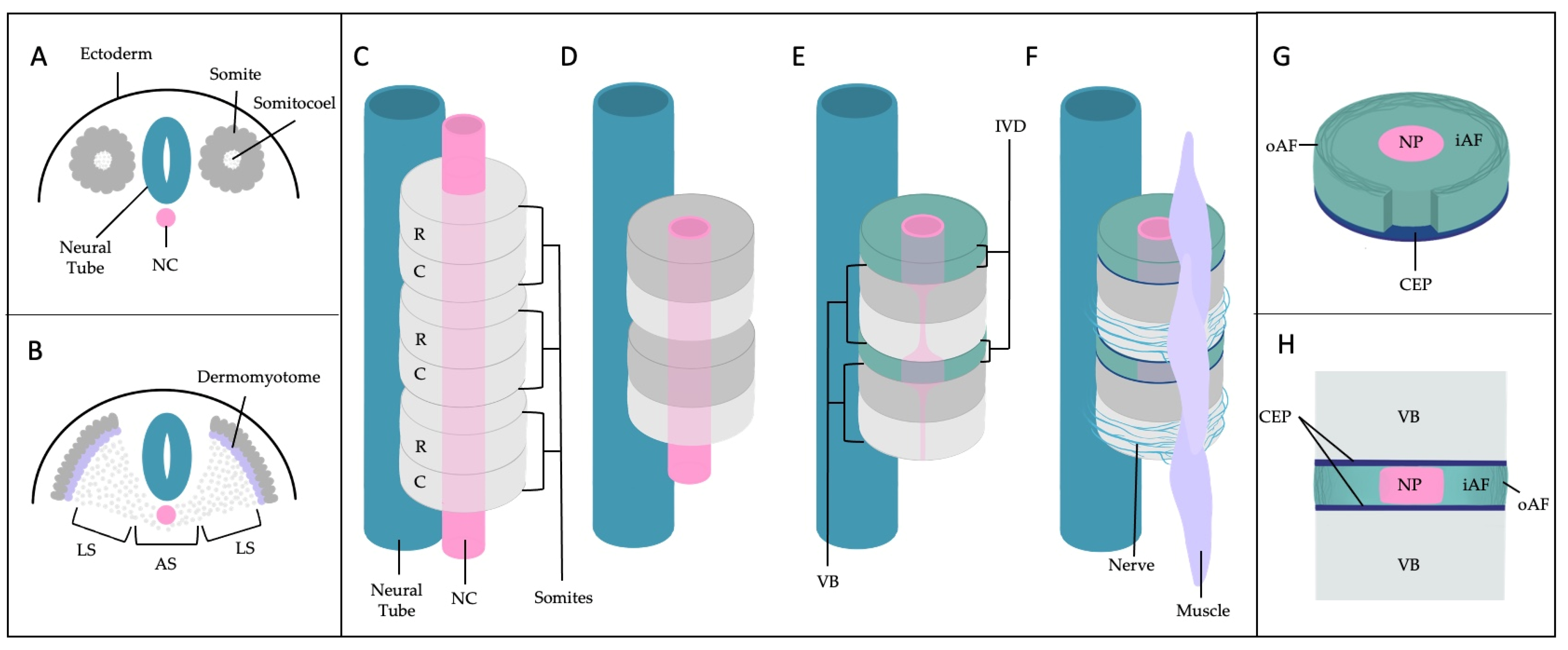 Vetsci 10 00540 g001