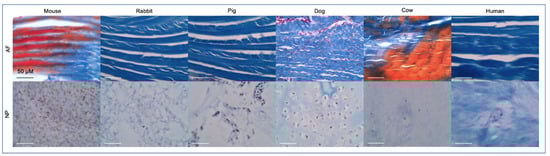 Vetsci 10 00540 g003