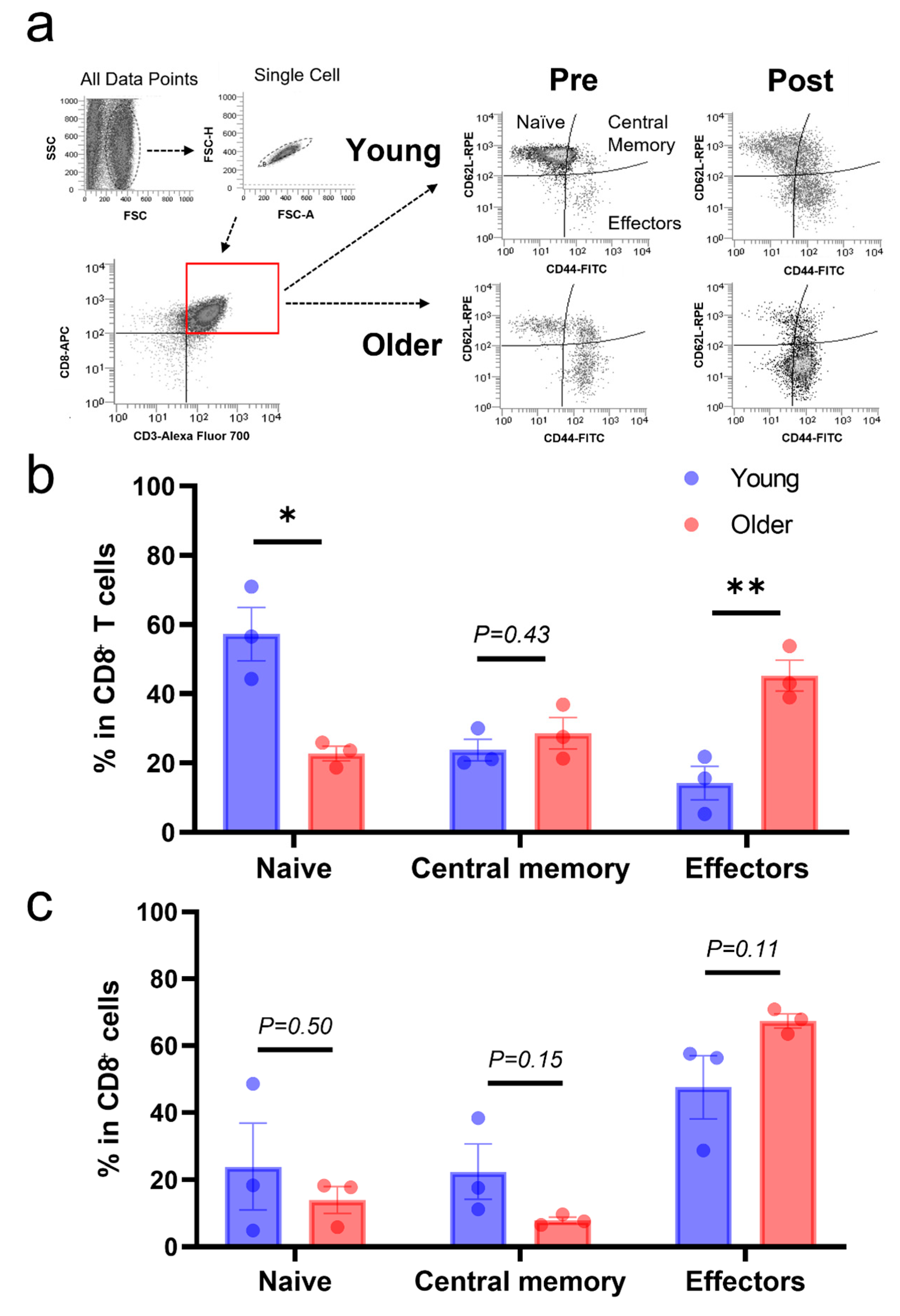 Vetsci 10 00541 g003