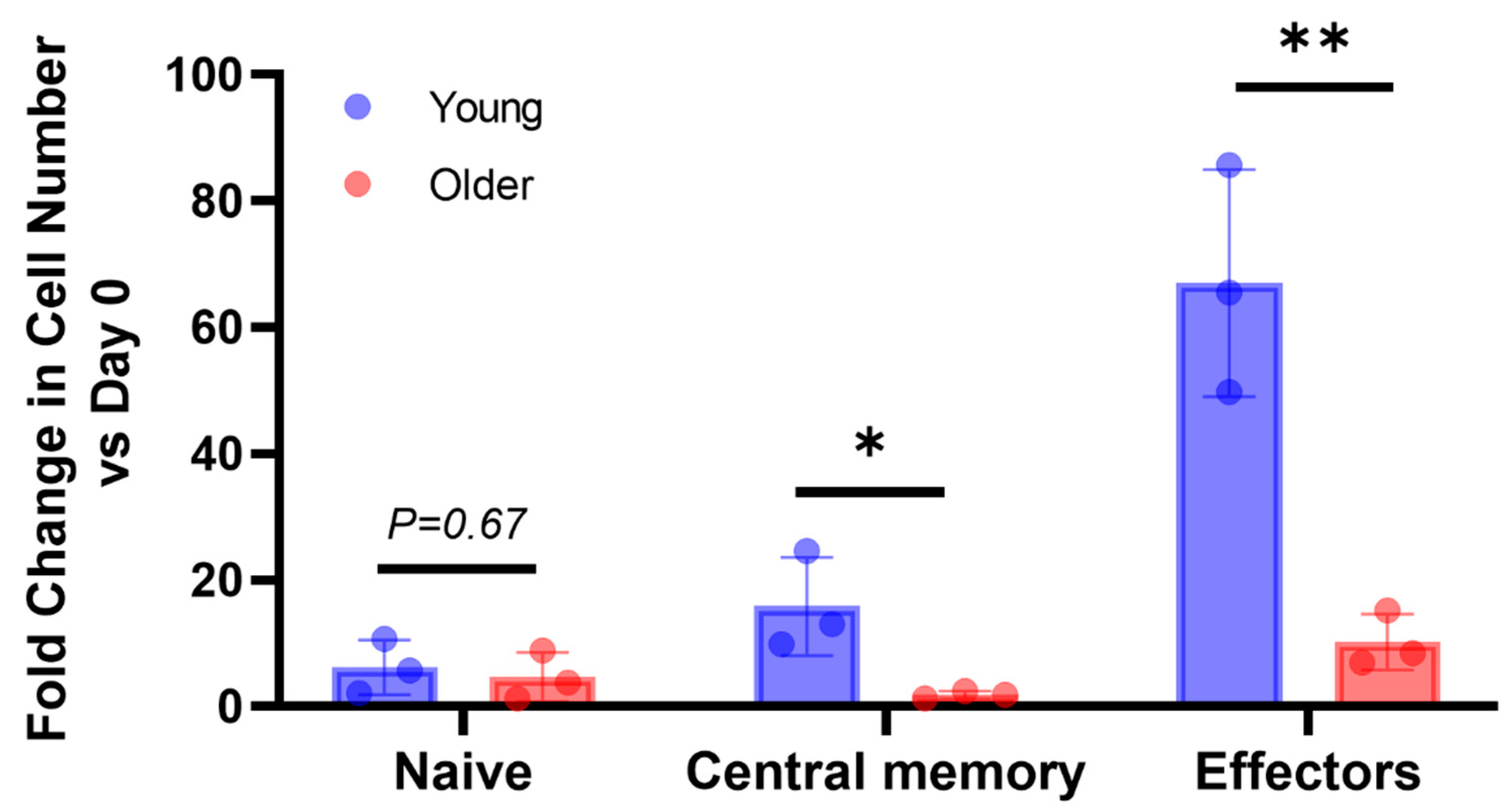 Vetsci 10 00541 g005