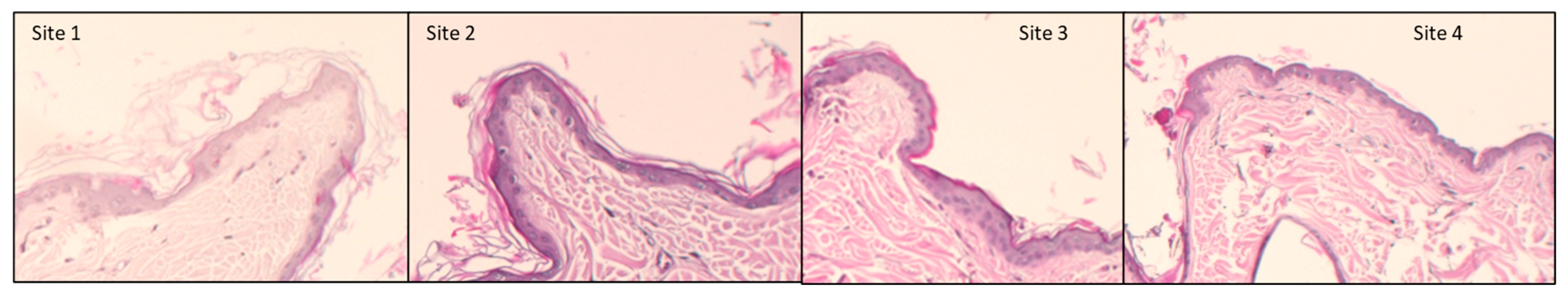 Vetsci 10 00547 g003