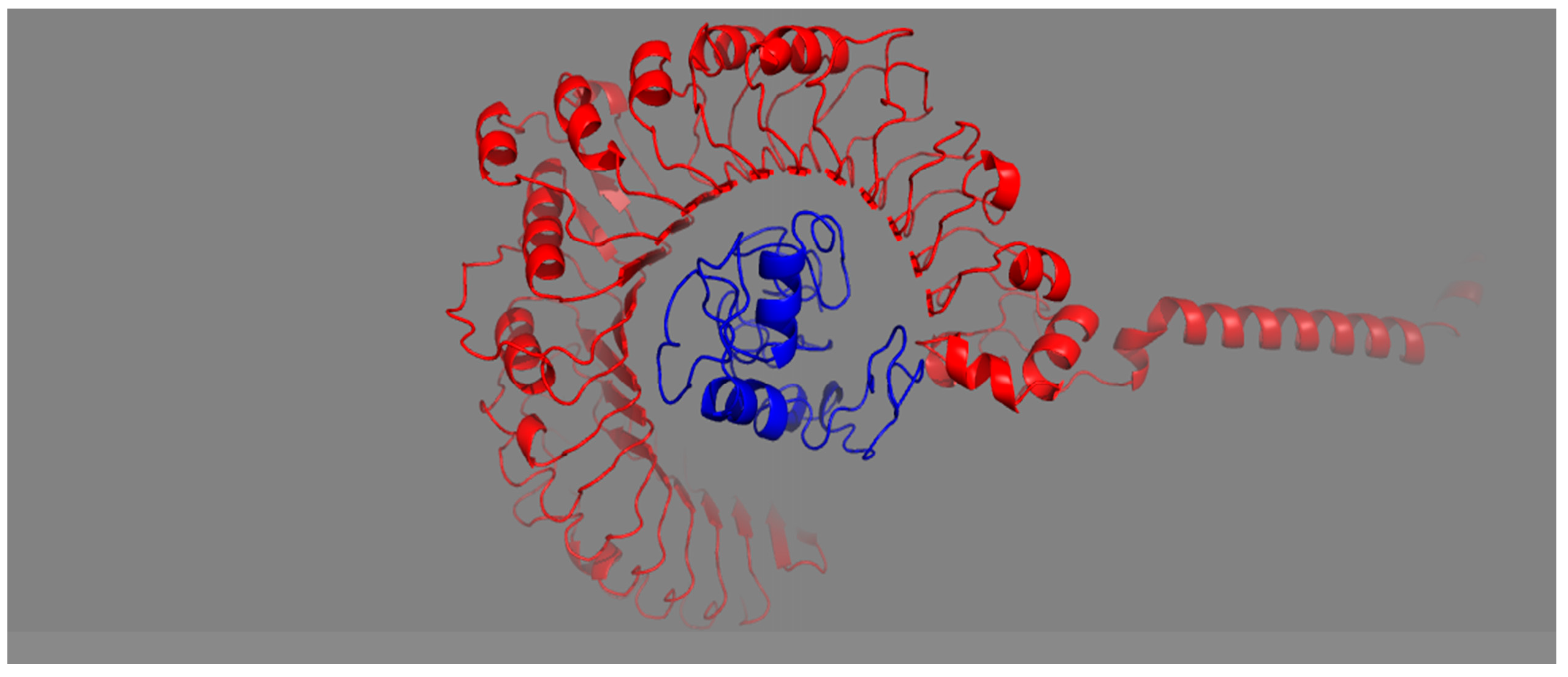 Vetsci 10 00557 g007