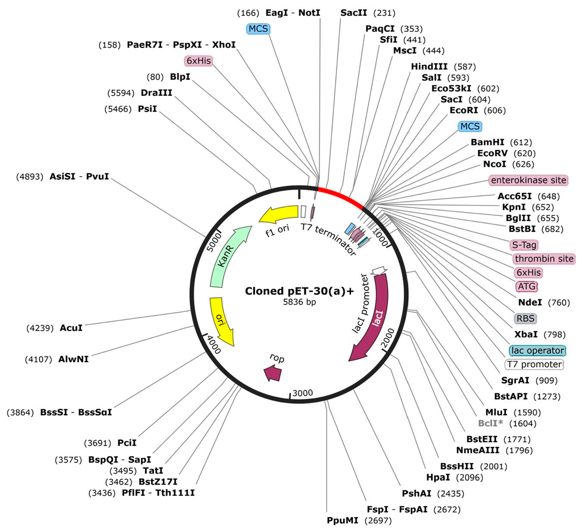 Vetsci 10 00557 g009