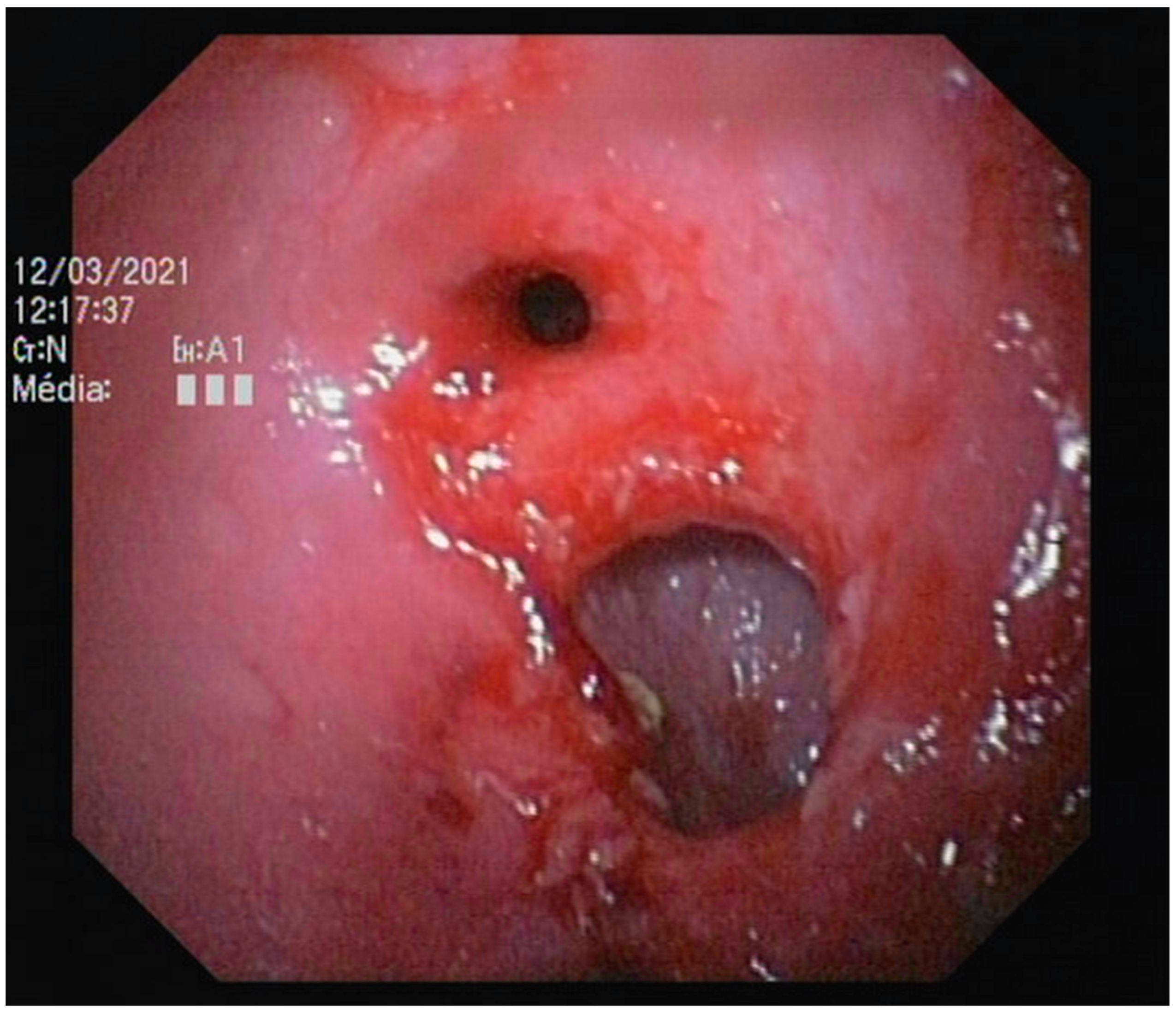 Vetsci 10 00577 g006