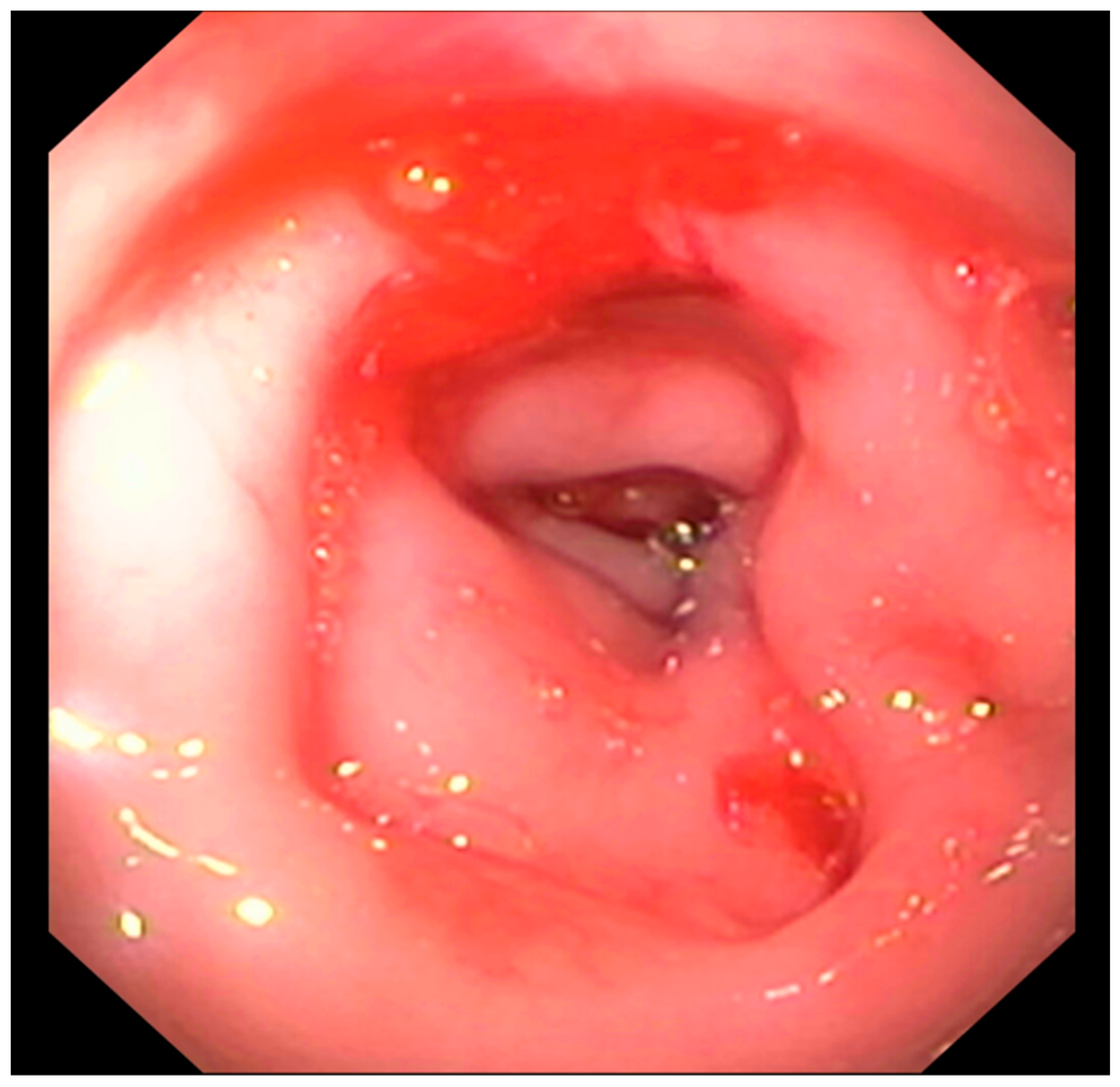 Vetsci 10 00577 g007