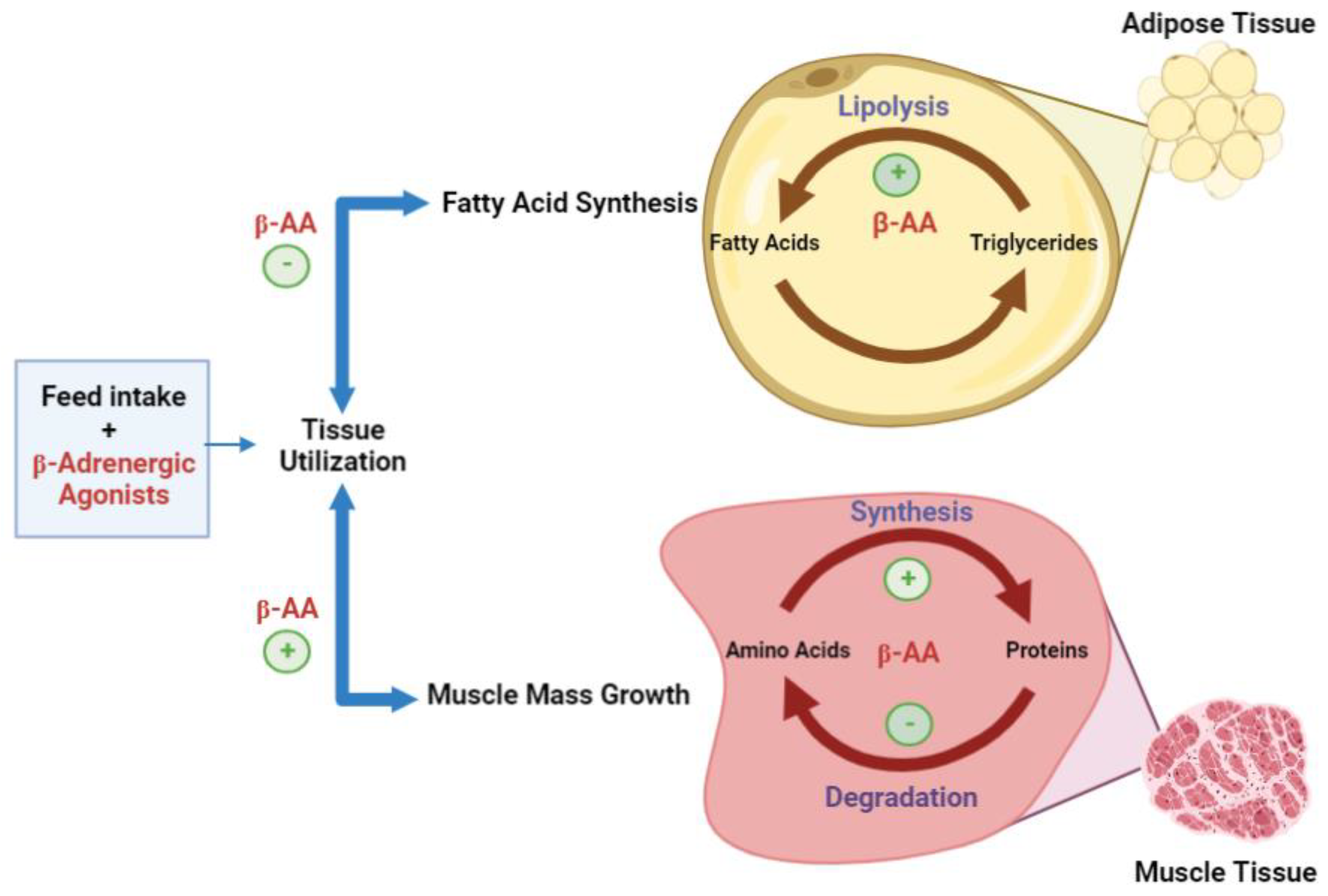 Vetsci 10 00579 g002 Vetsci 10 00579 g002