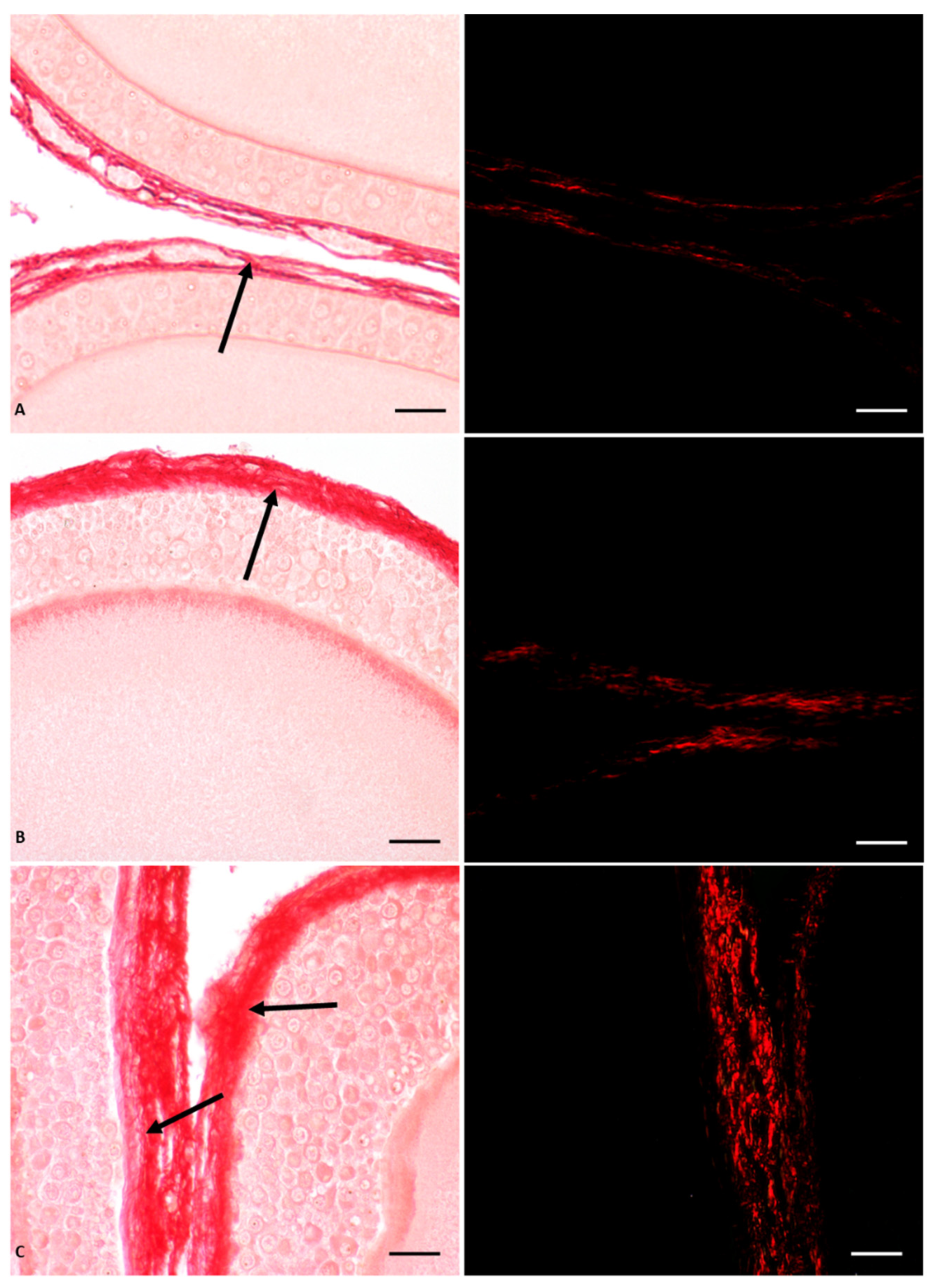Vetsci 10 00583 g001 Vetsci 10 00583 g001