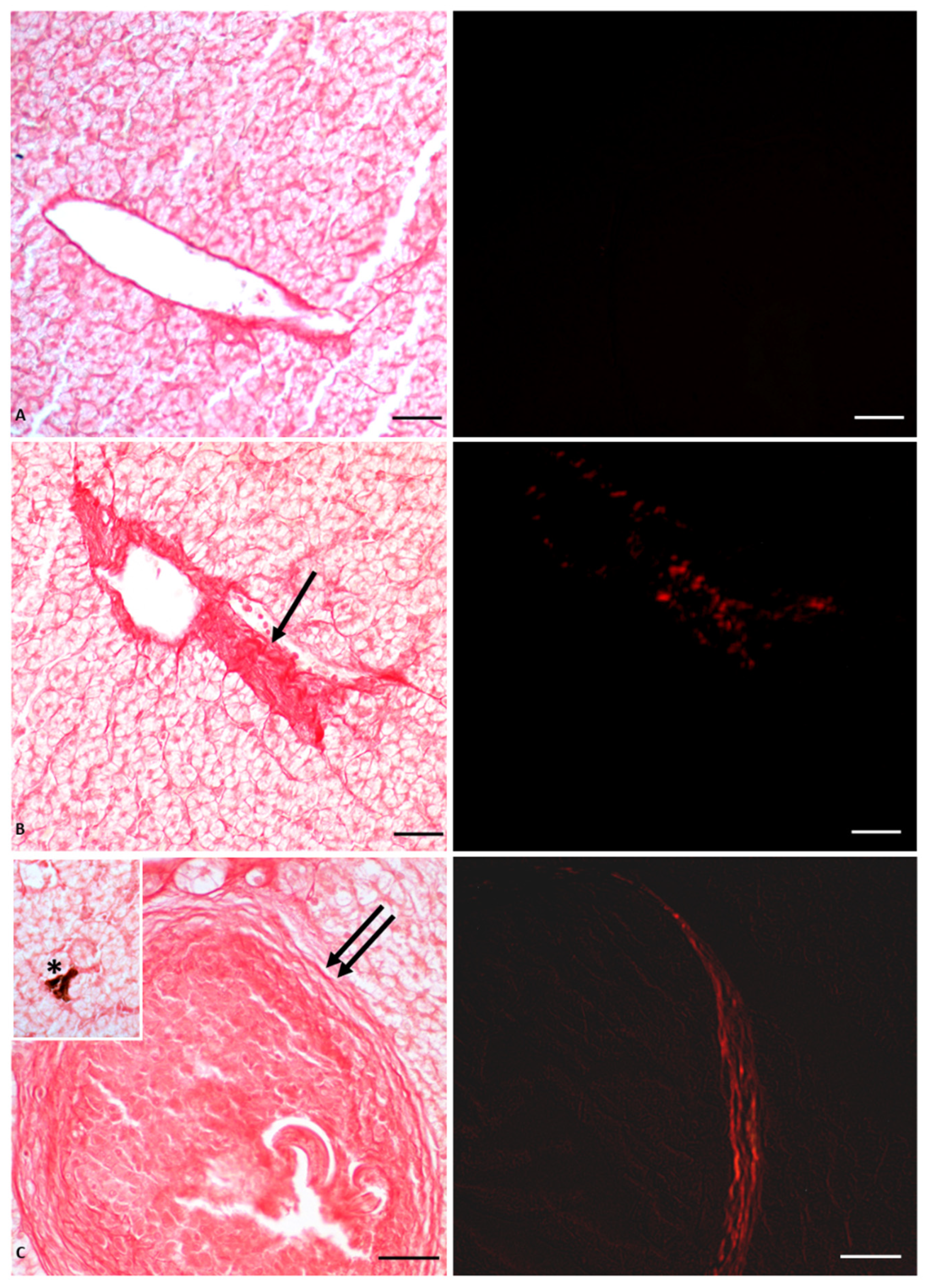Vetsci 10 00583 g002 Vetsci 10 00583 g002