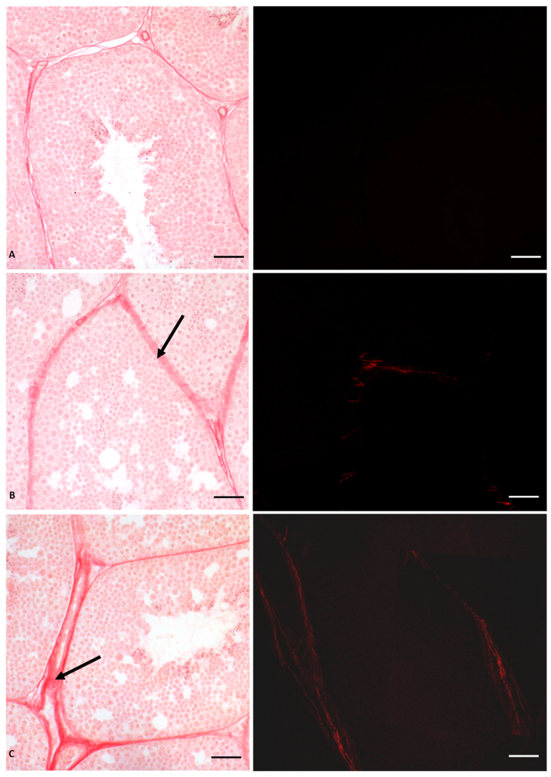 Vetsci 10 00583 g003 Vetsci 10 00583 g003