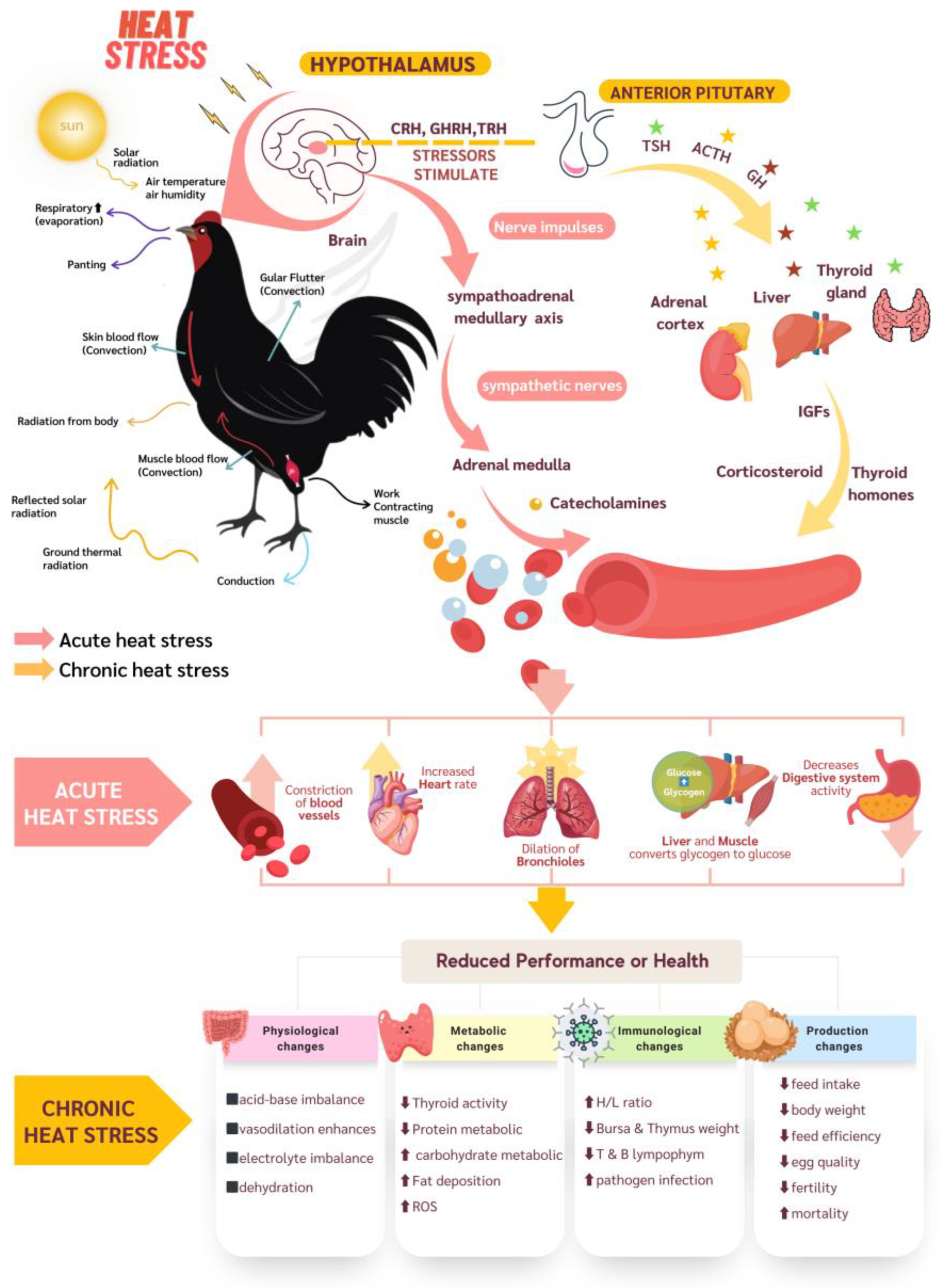 Vetsci 10 00591 g002
