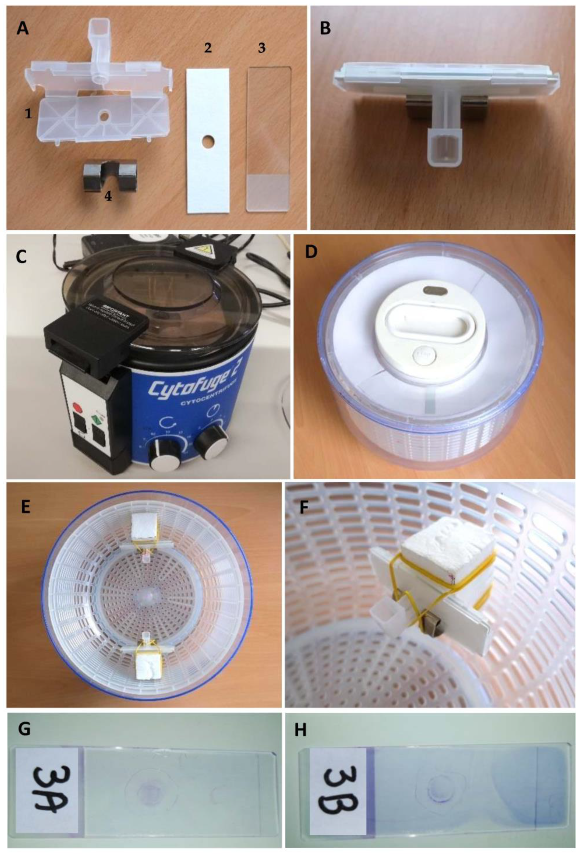 Vetsci 10 00631 g001