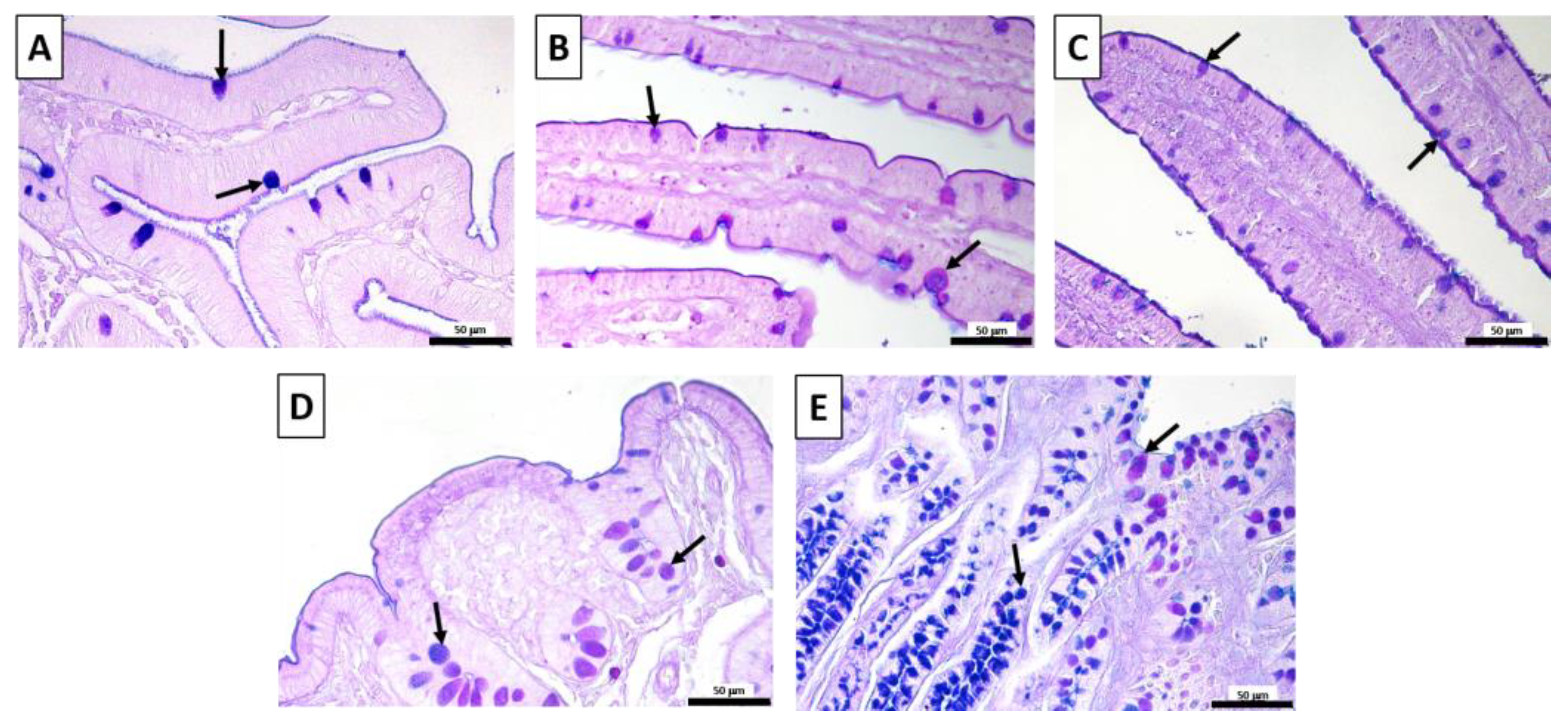 Vetsci 10 00657 g003