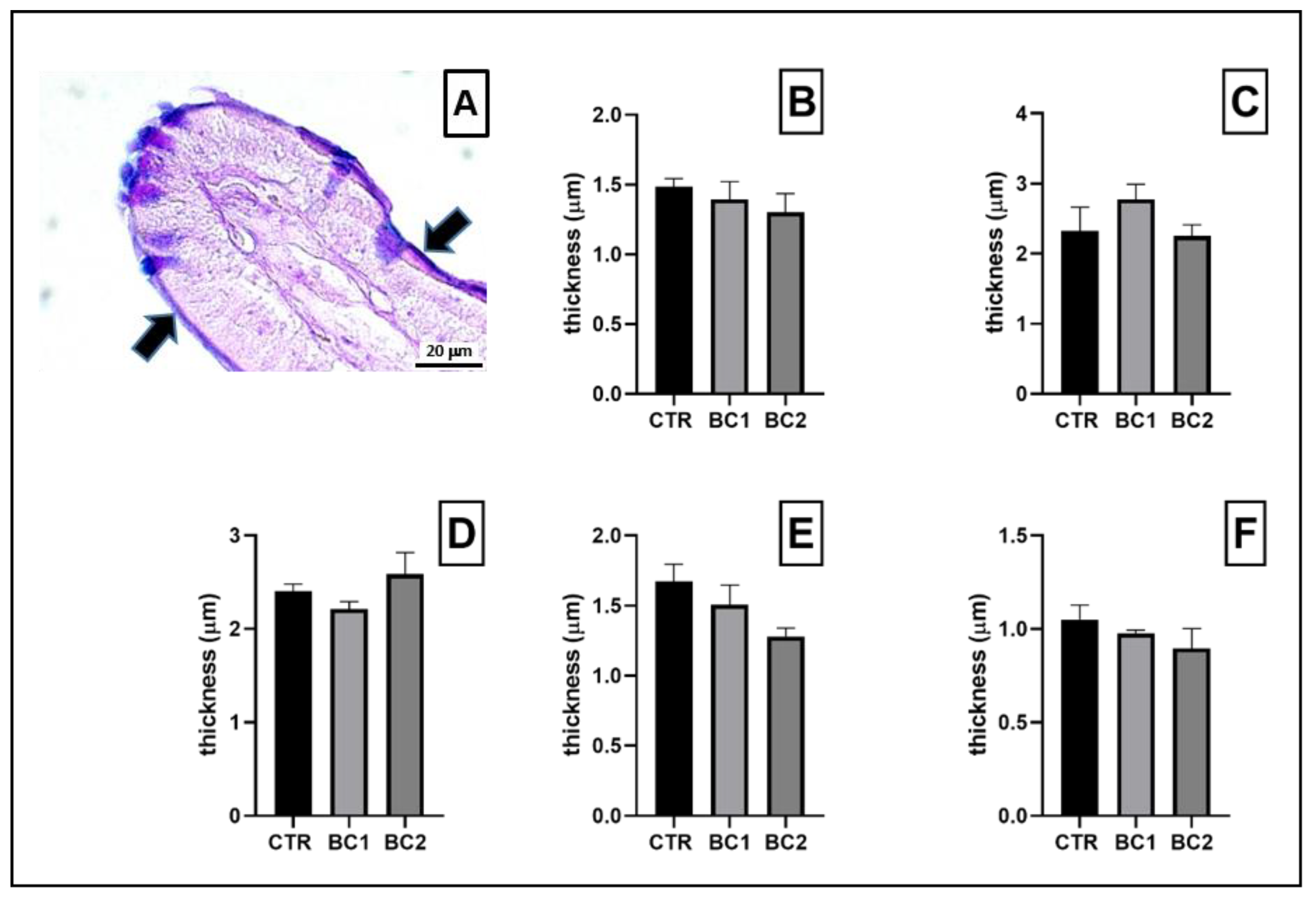 Vetsci 10 00657 g004