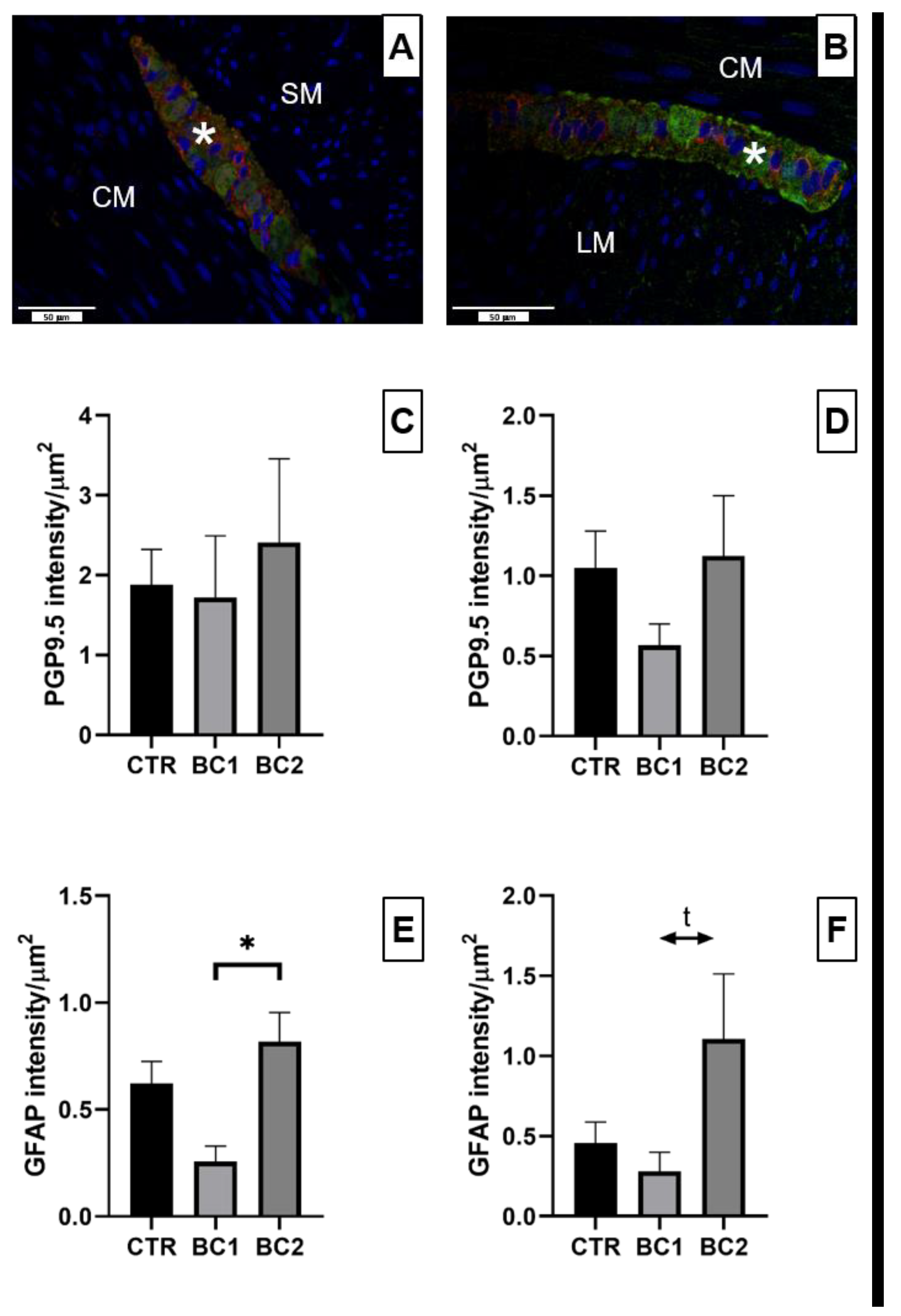 Vetsci 10 00657 g007
