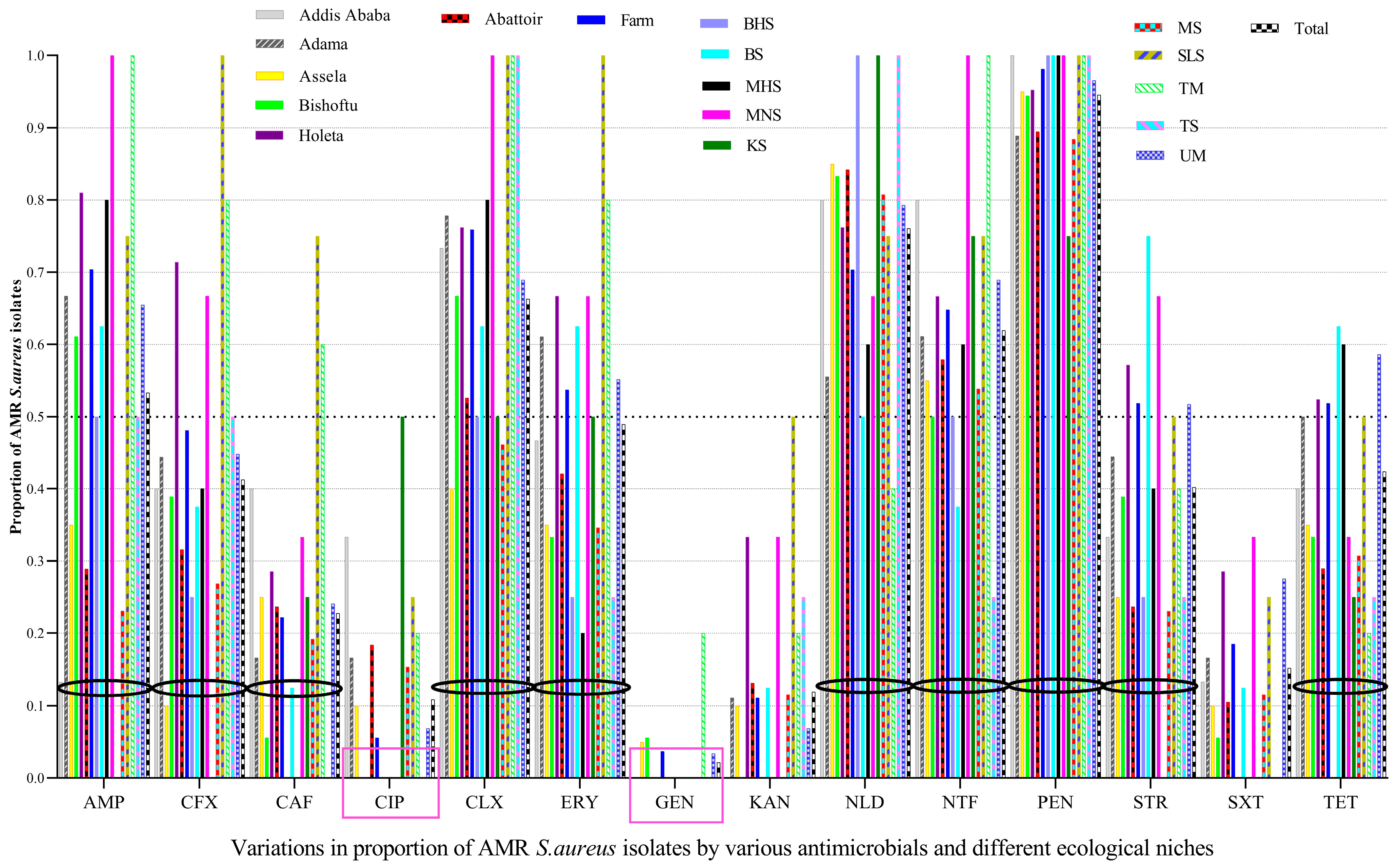 Vetsci 10 00663 g001